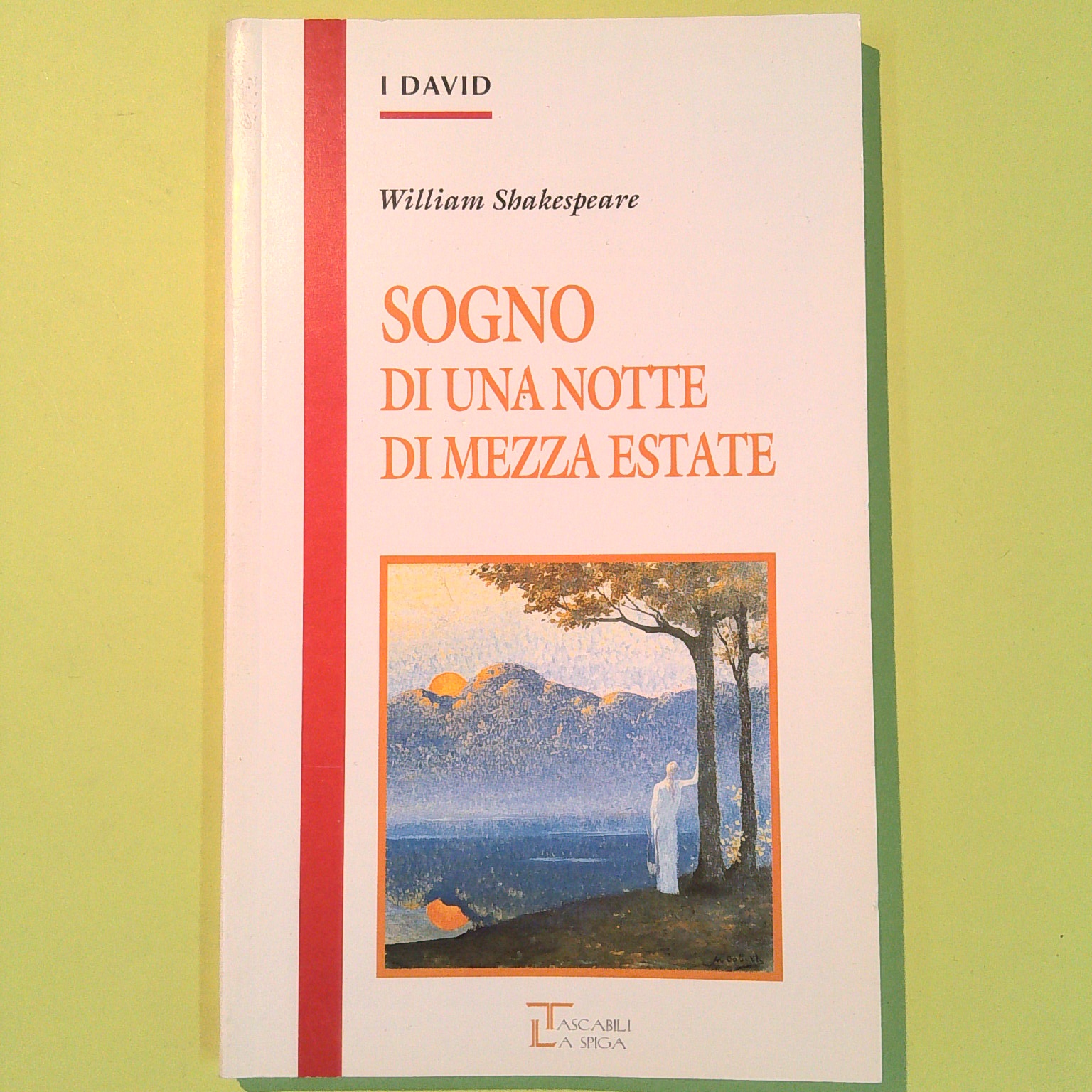 SOGNO DI UNA NOTTE DI MEZZA ESTATE