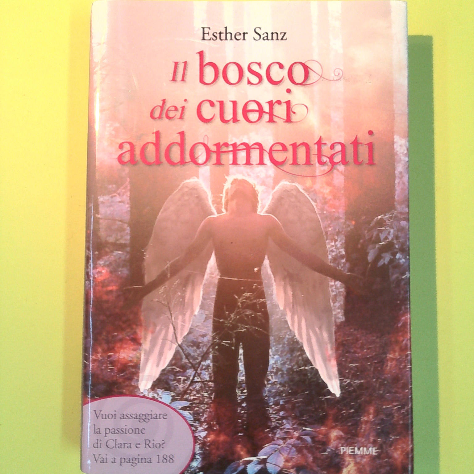 IL BOSCO DEI CUORI ADDORMENTATI