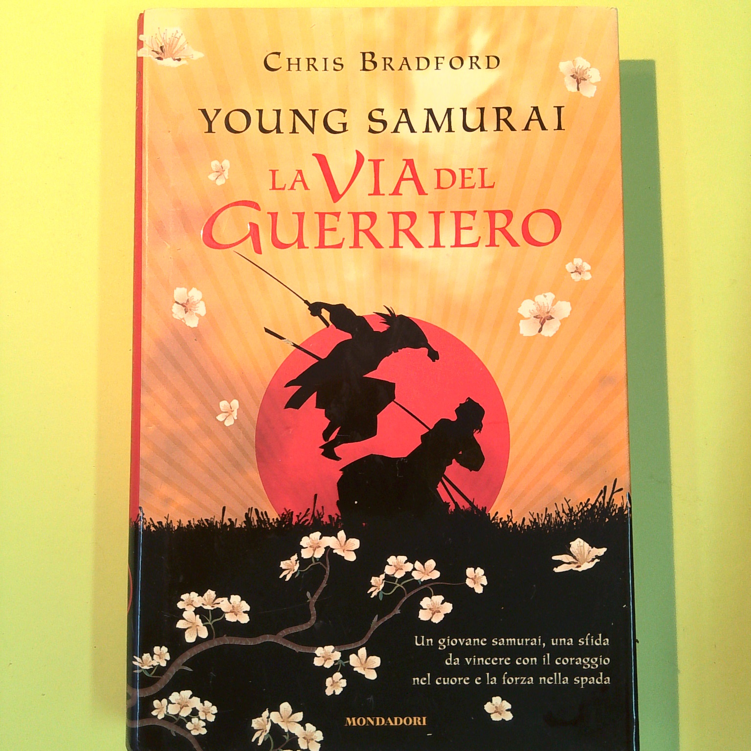 YOUNG SAMURAI LA VIA DEL GUERRIERO