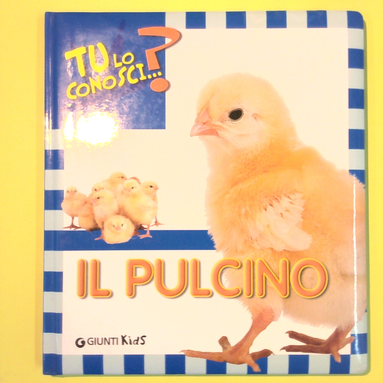 IL PULCINO