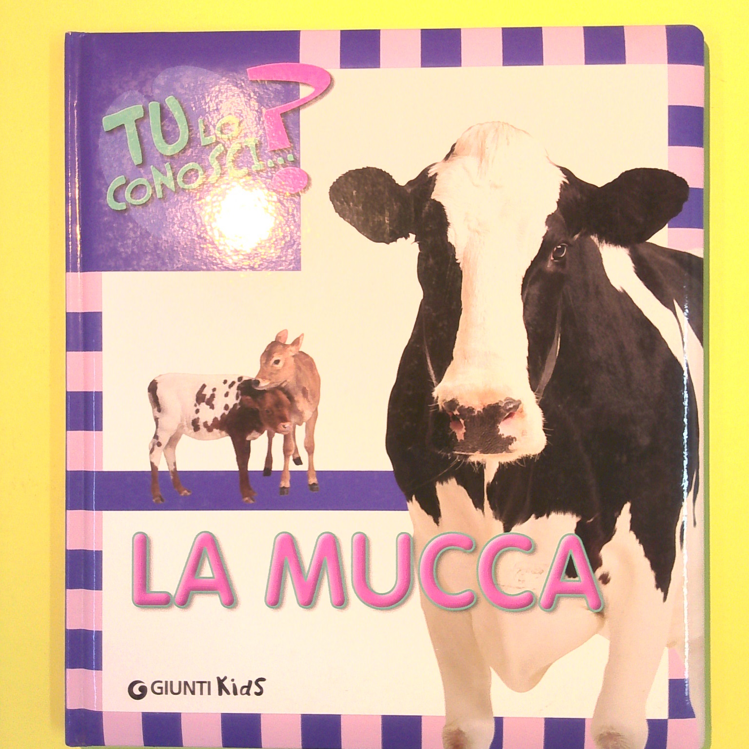 LA MUCCA