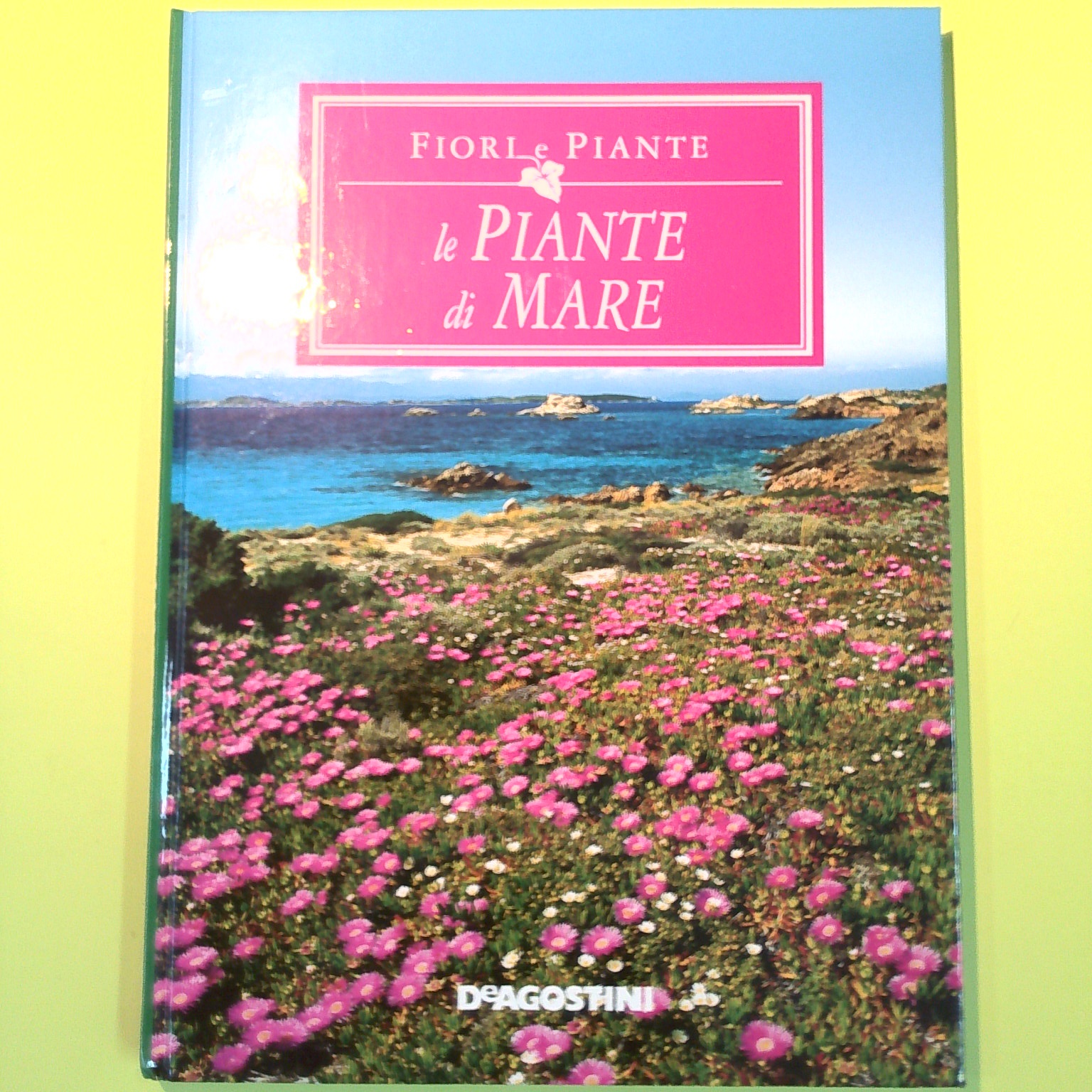 LE PIANTE DI MARE