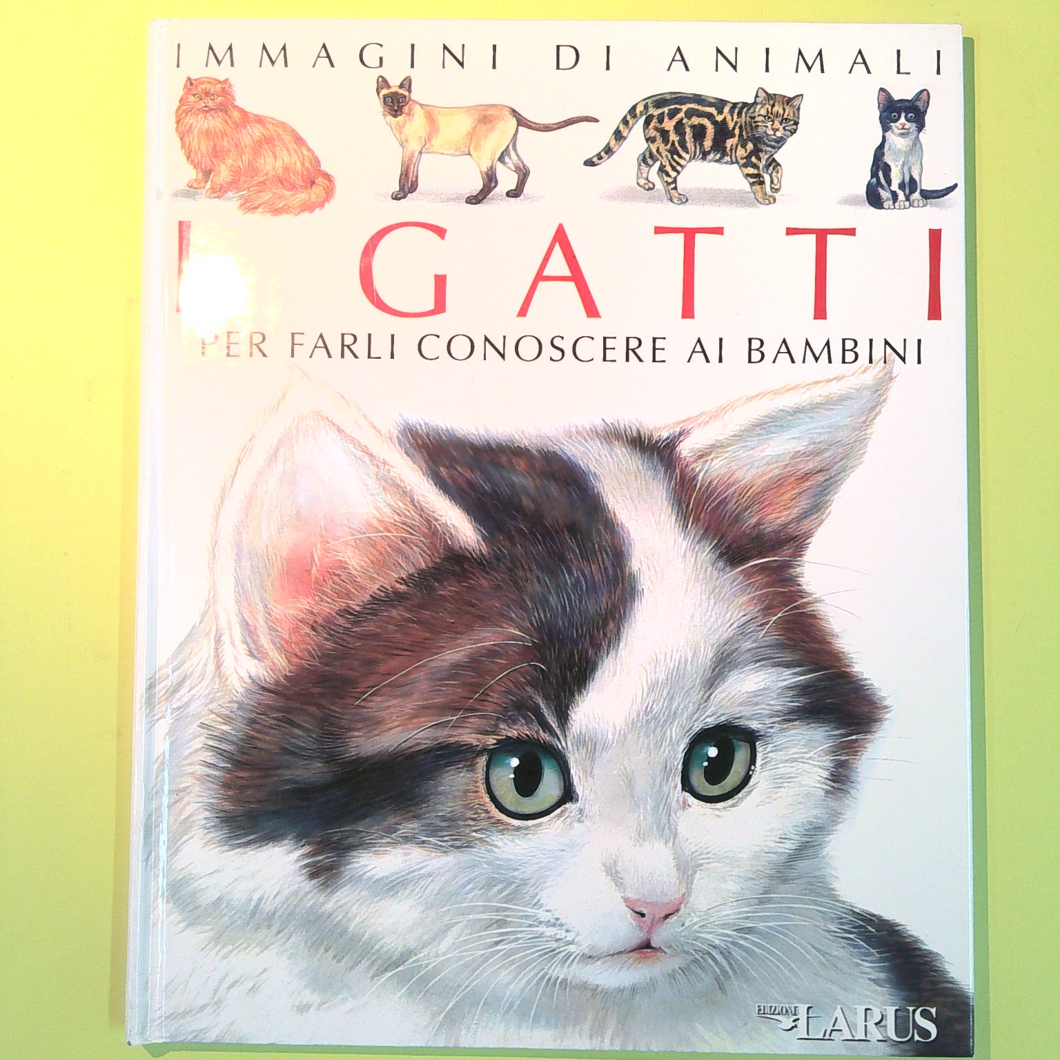 I GATTI PER FARLI CONOSCERE AI BAMBINI