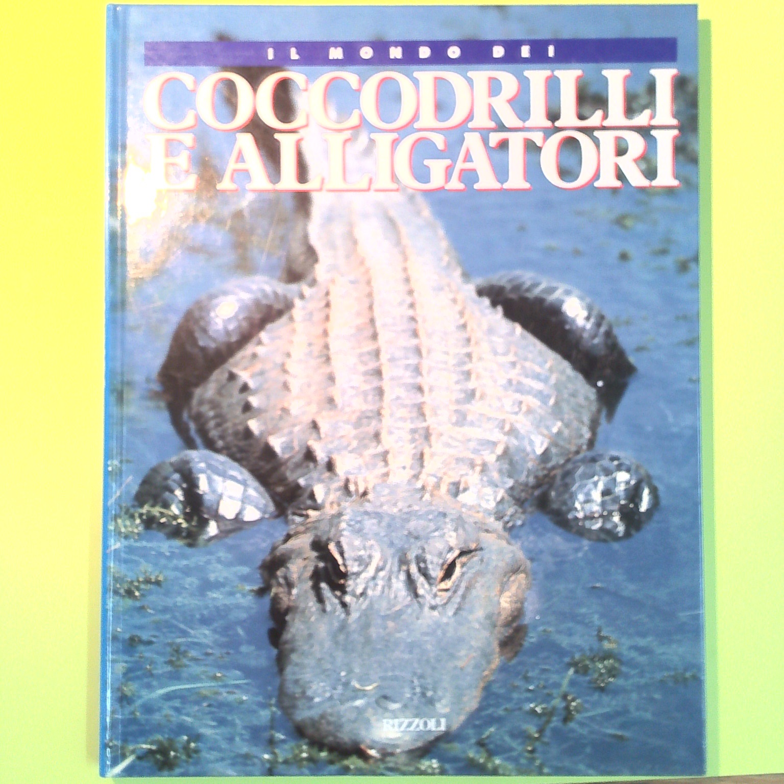IL MONDO DEI COCCODRILLI E ALLIGATORI