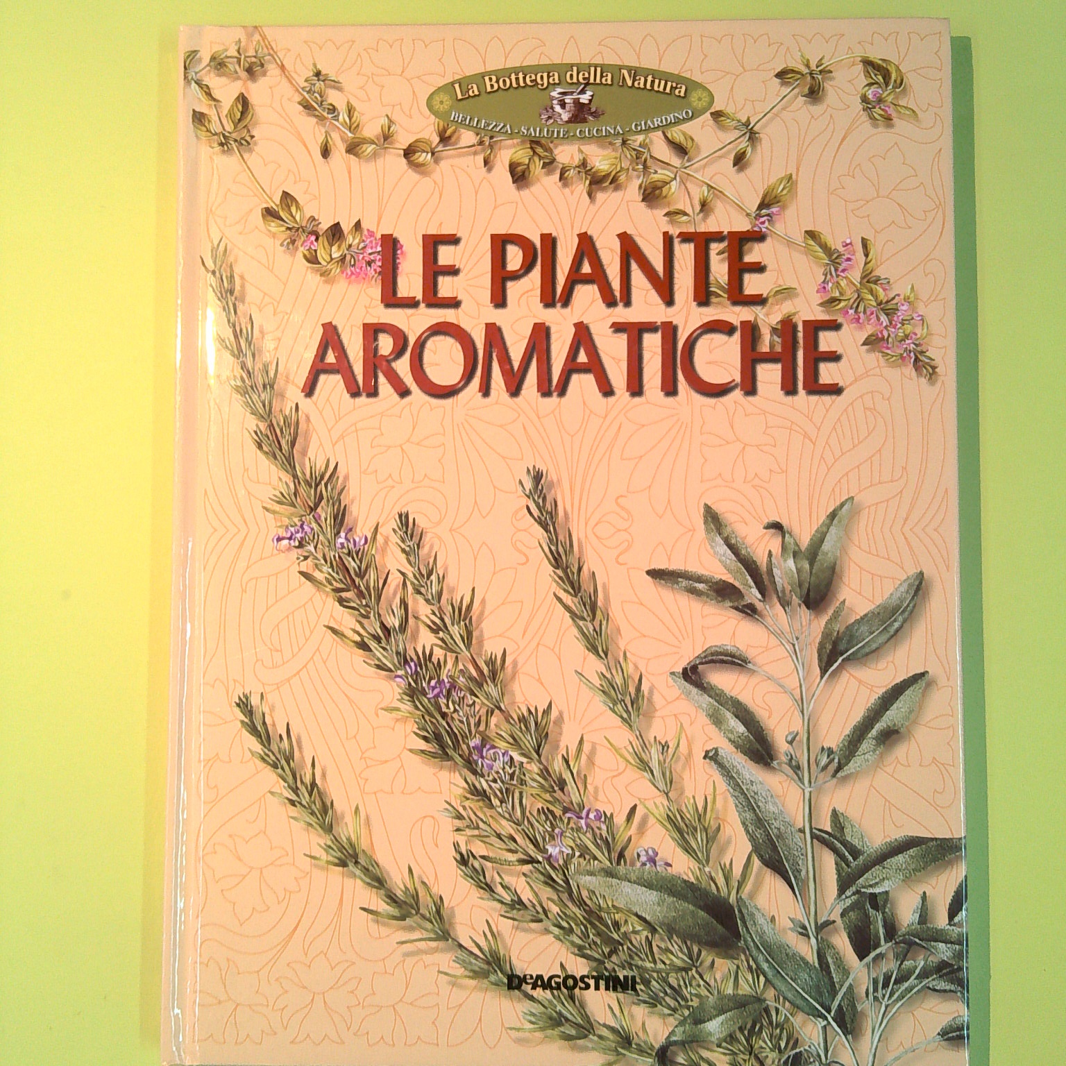 LE PIANTE AROMATICHE