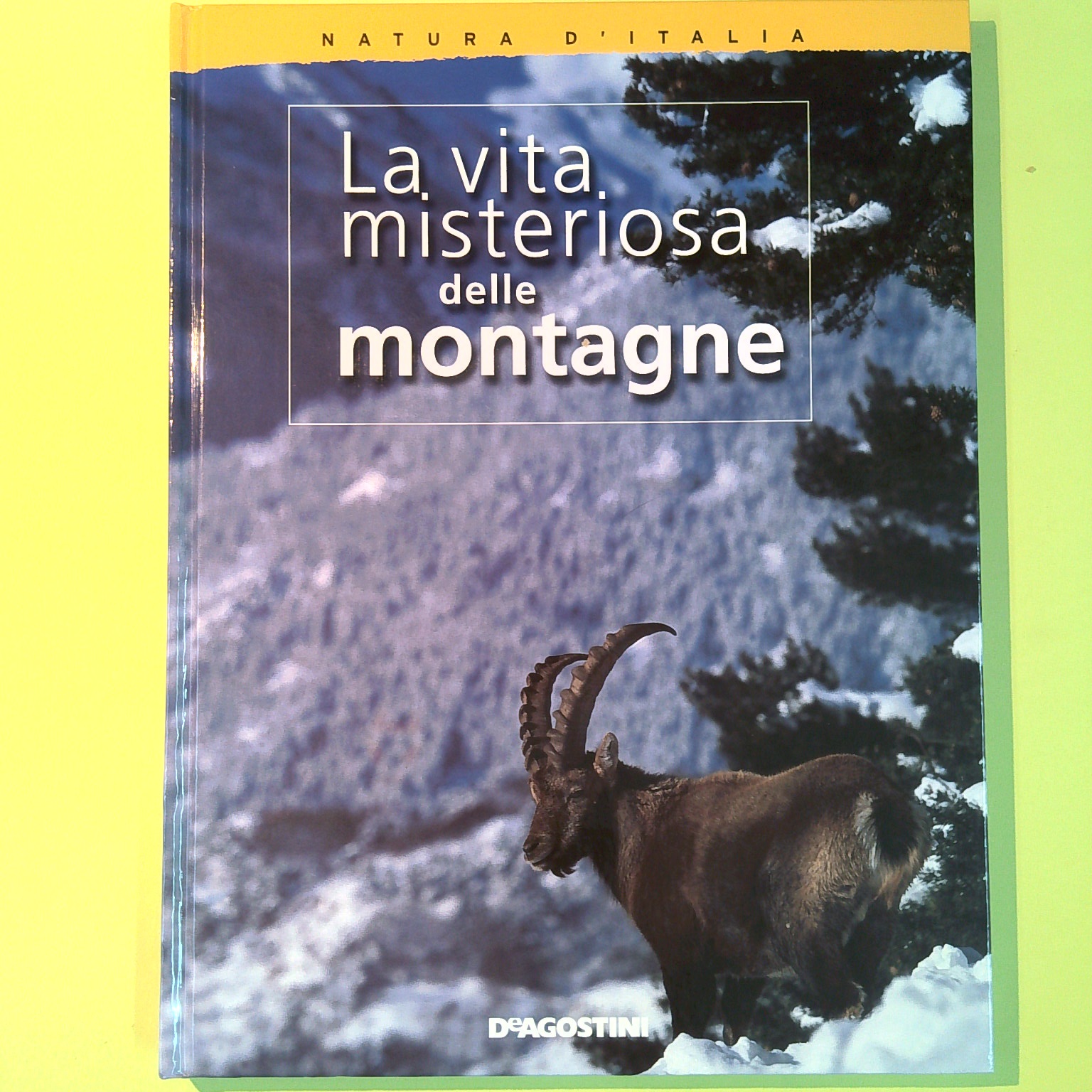 LA VITA MISTERIOSA DELLE MONTAGNE