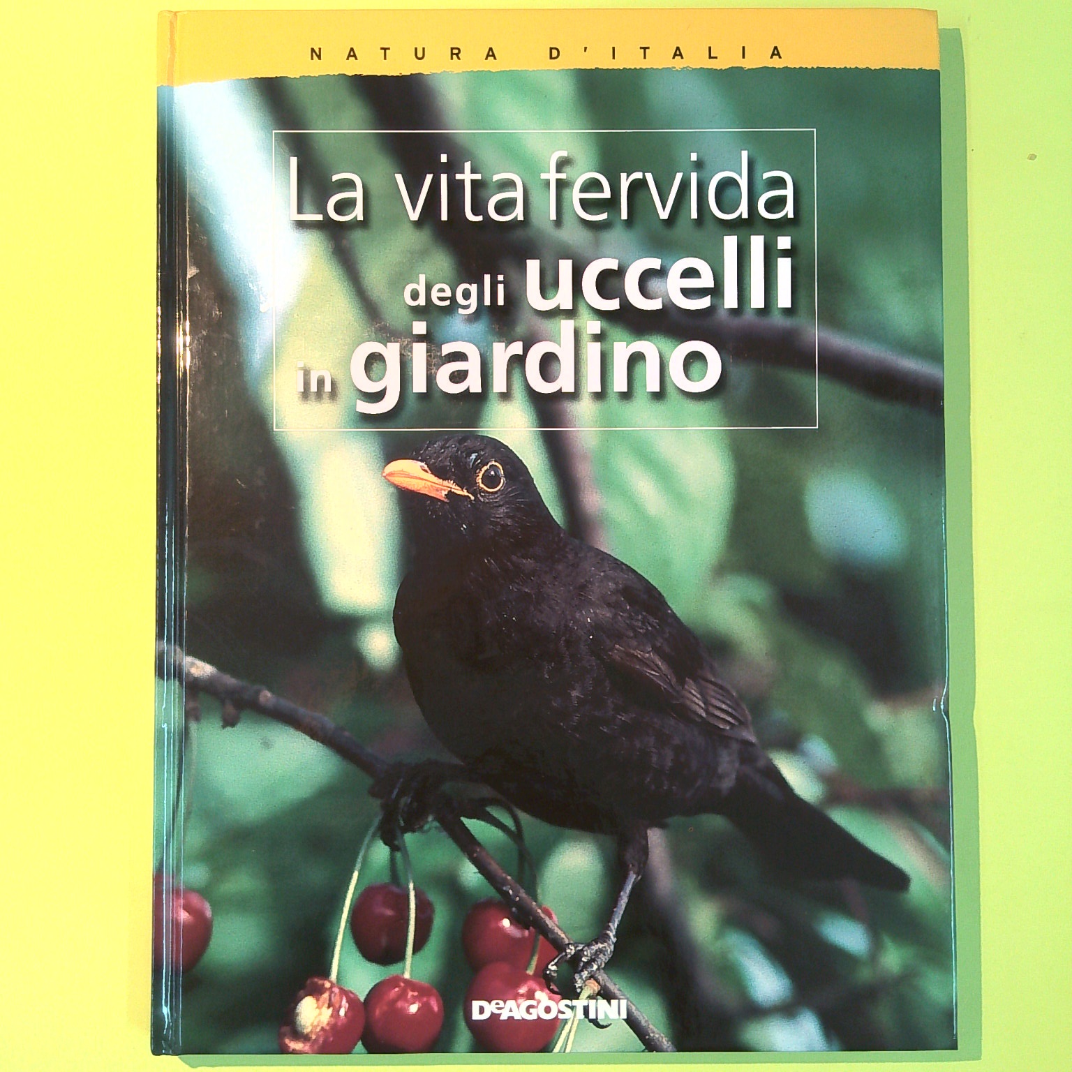 LA VITA FERVIDA DEGLI UCCELLI IN GIARDINO