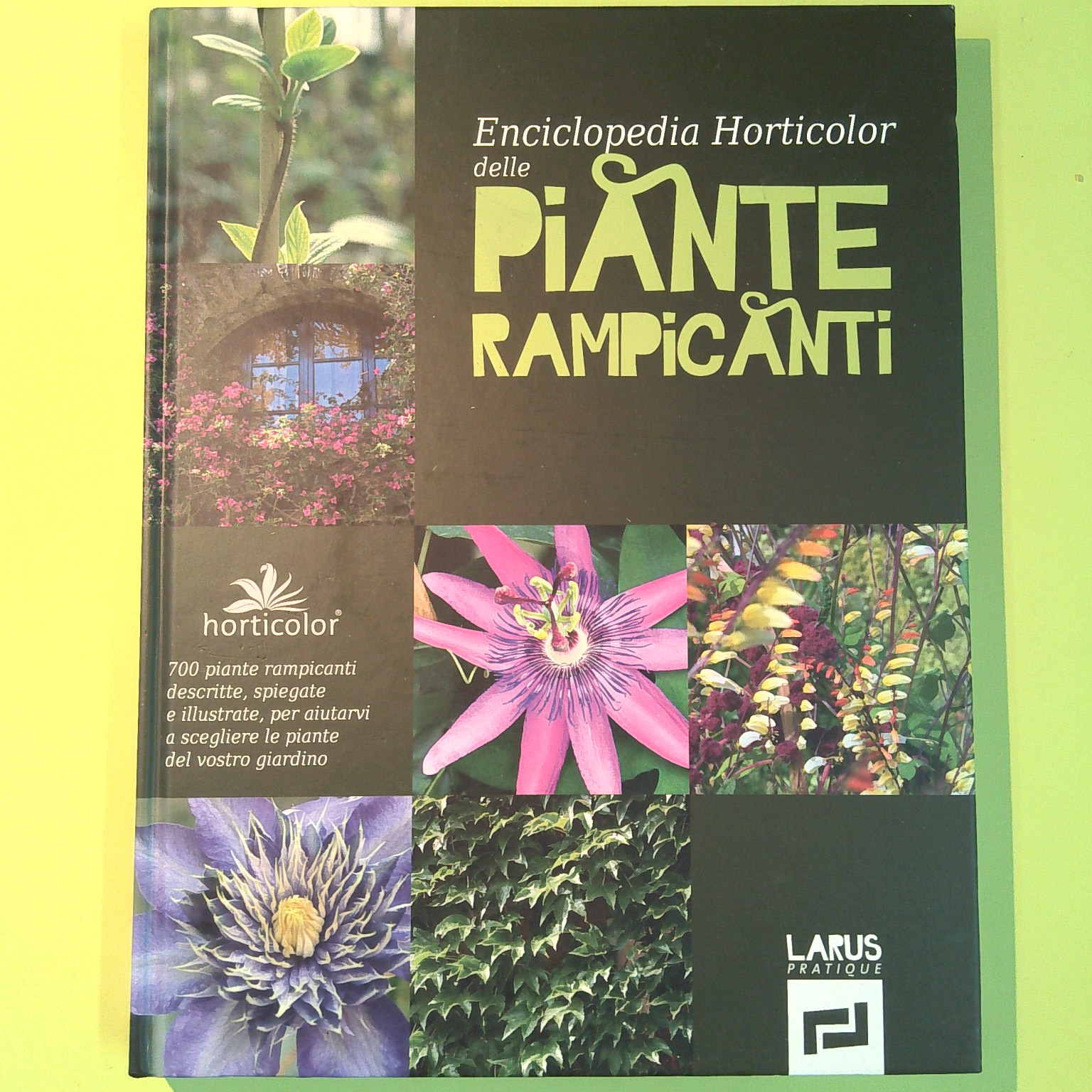 ENCICLOPEDIA HORTICOLOR DELLE PIANTE RAMPICANTI