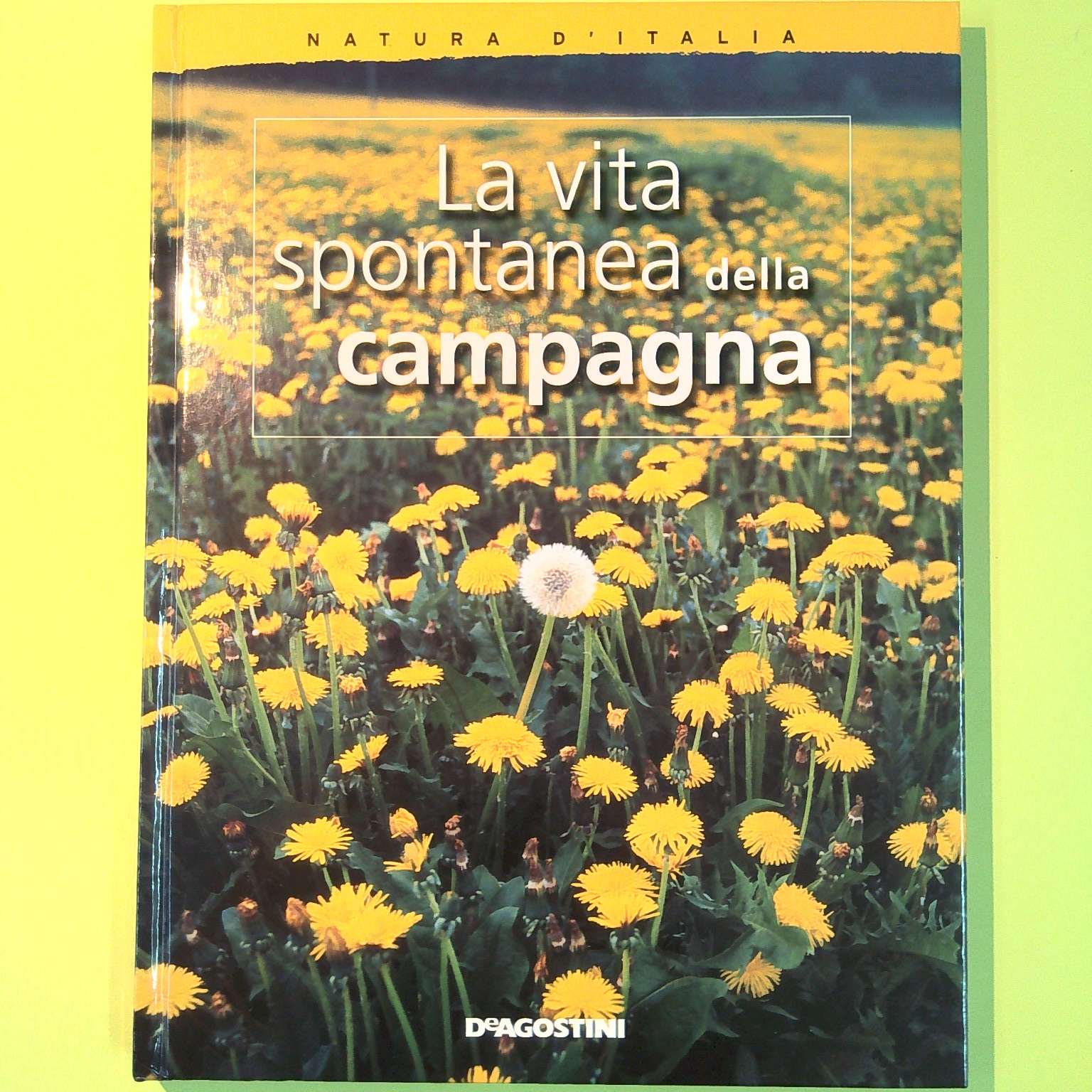 LA VITA SPONTANEA DELLA MONTAGNA