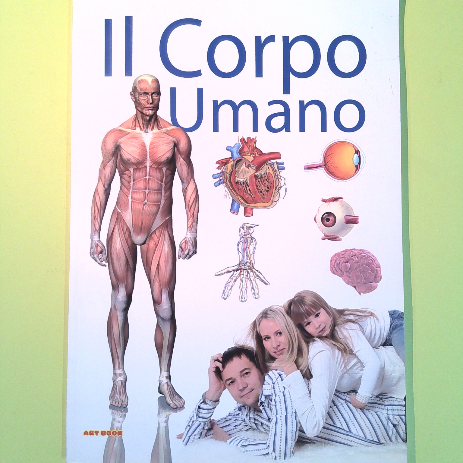 IL CORPO UMANO