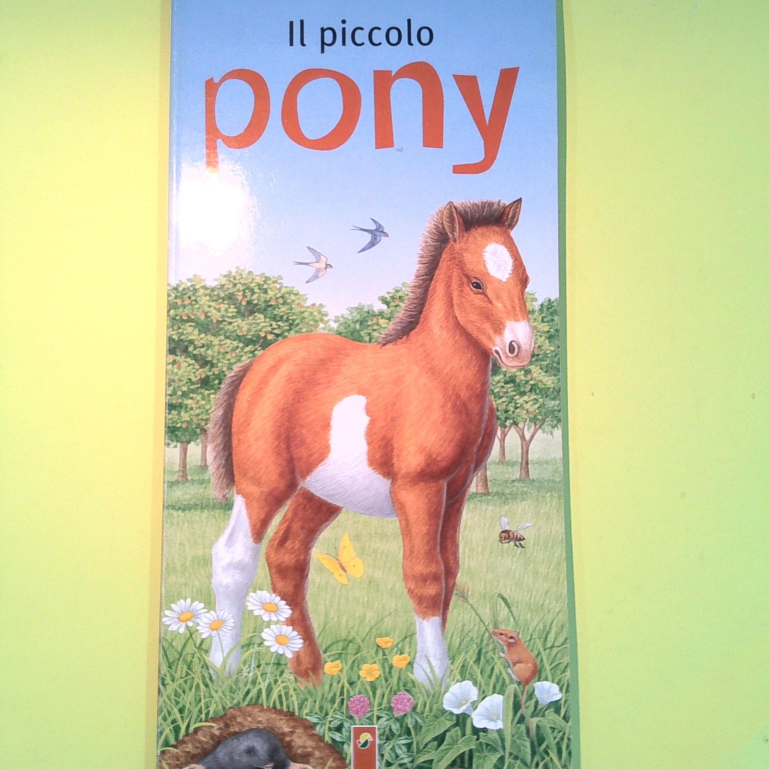 IL PICCOLO PONY