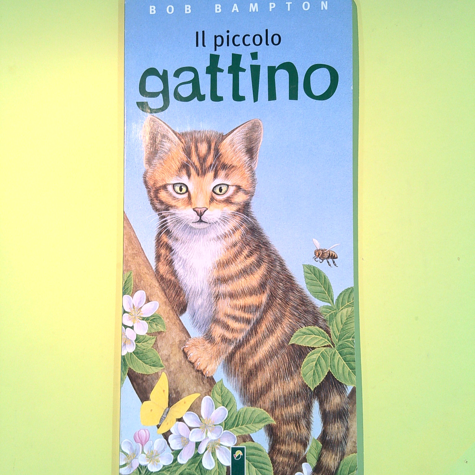 IL PICCOLO GATTINO