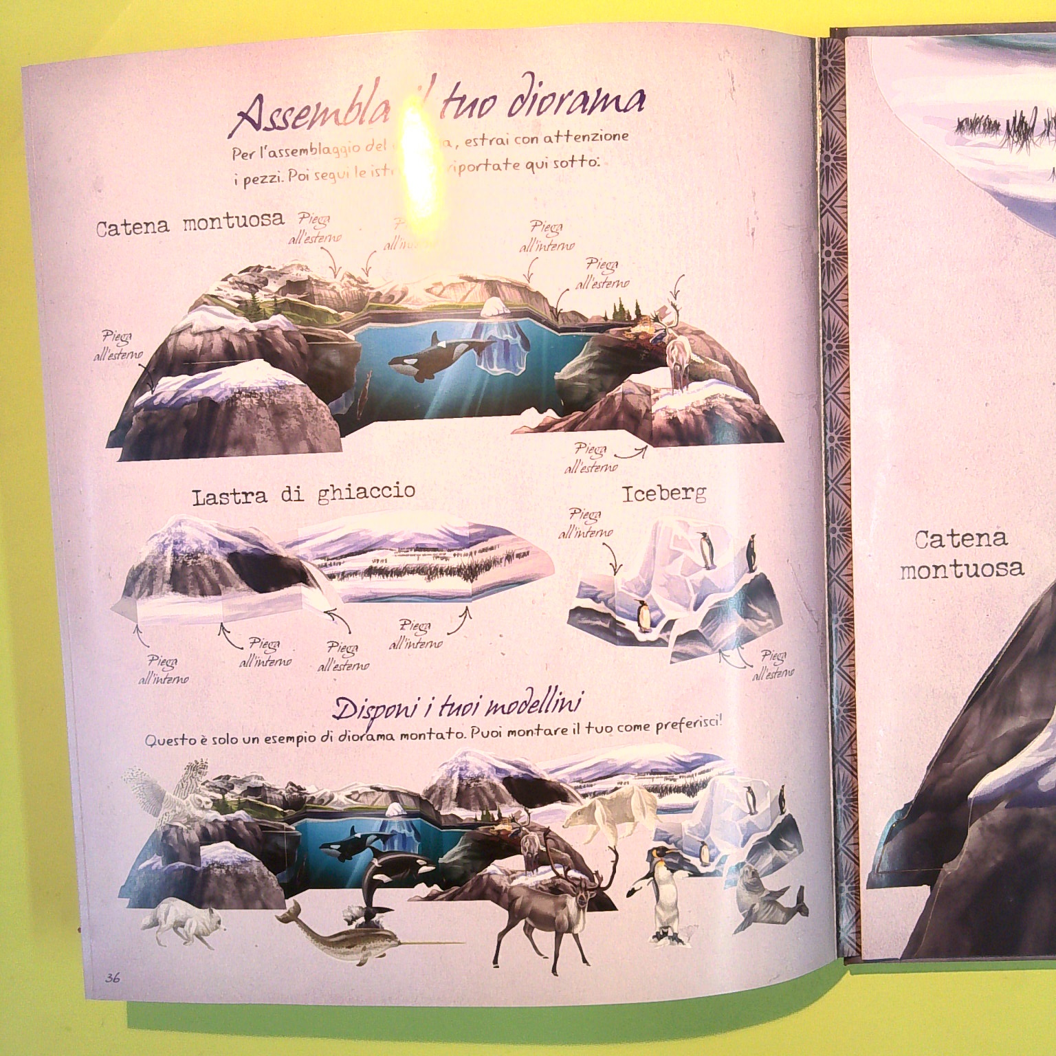 GLI ANIMALI DEI GHIACCI - immagine 2