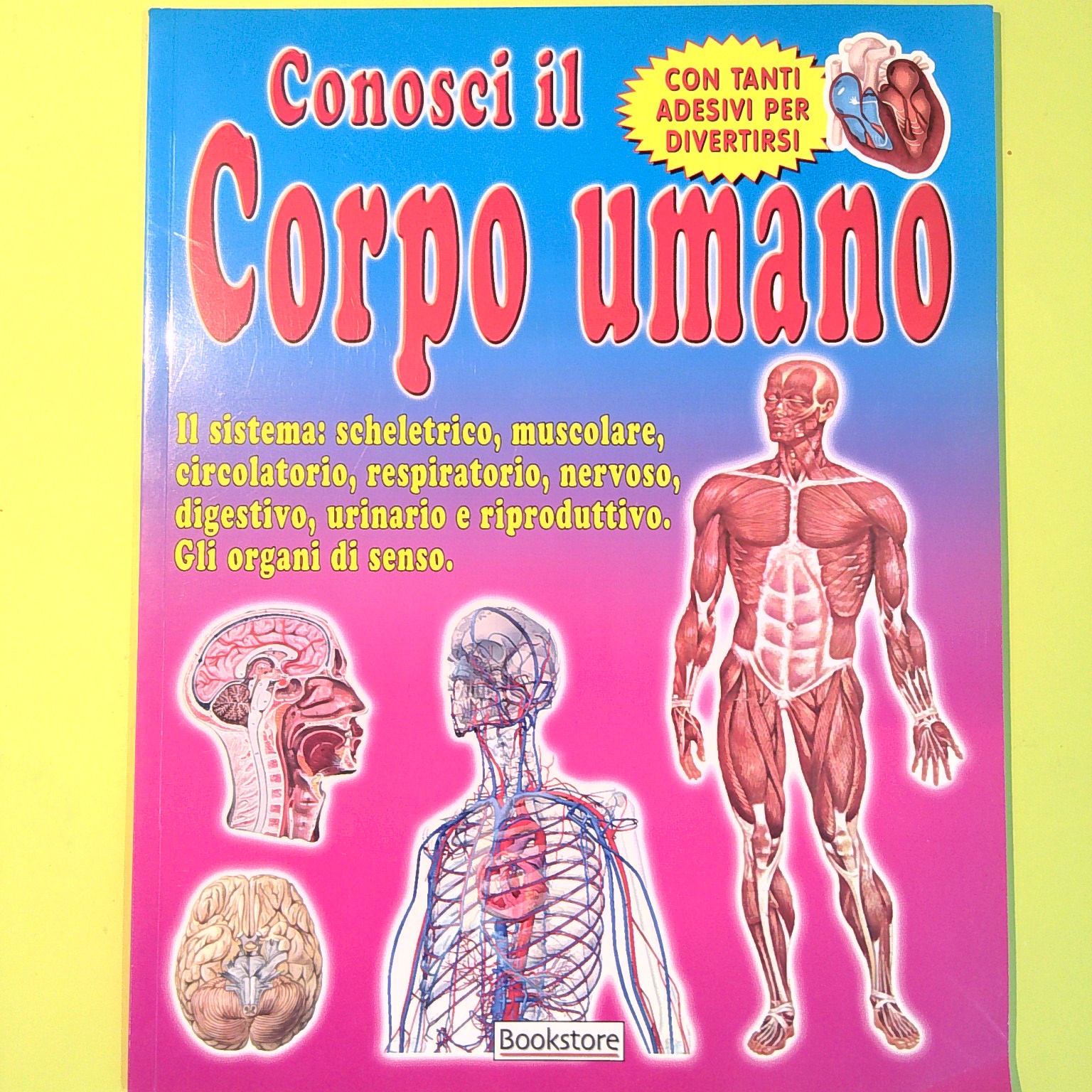 CONOSCI IL CORPO UMANO