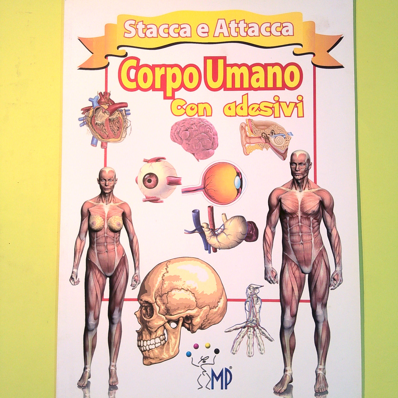 CORPO UMANO CON ADESIVI STACCA E ATTACCA