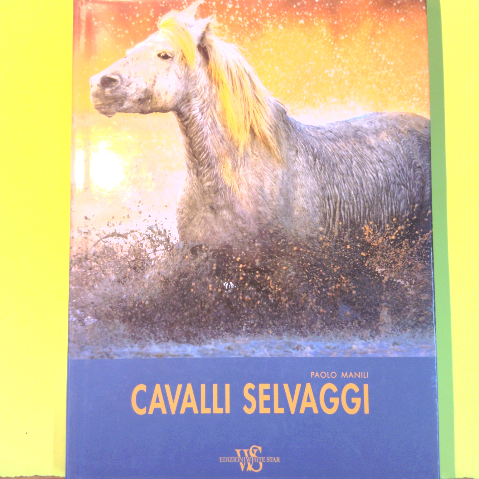 CAVALLI SELVAGGI
