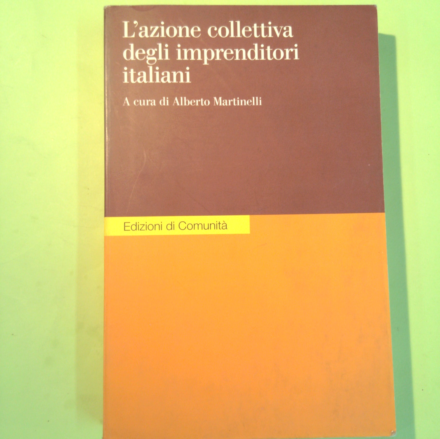 L'AZIONE COLLETTIVA DEGLI IMPRENDITORI ITALIANI