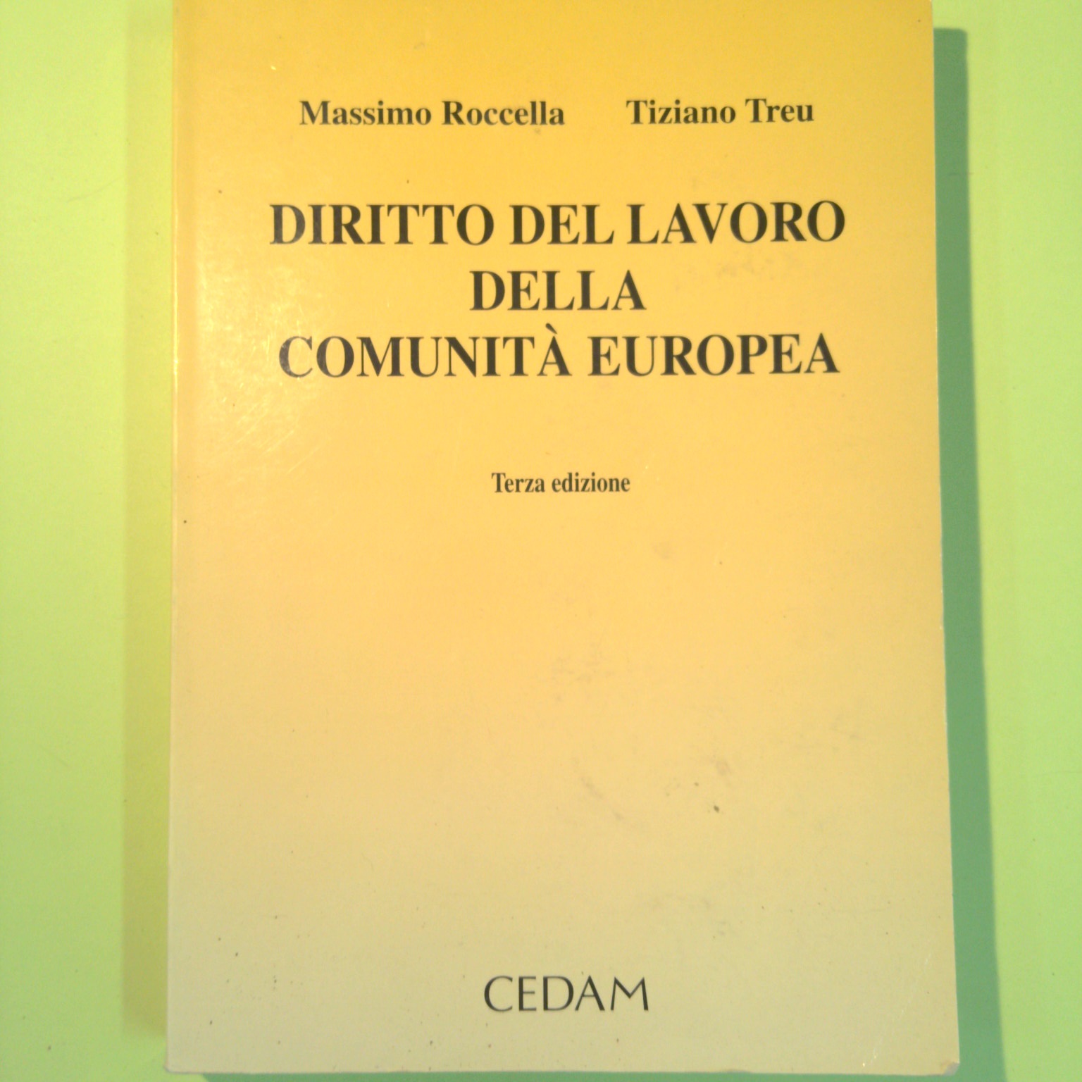DIRITTO DEL LAVORO DELLA COMUNITÀ EUROPEA