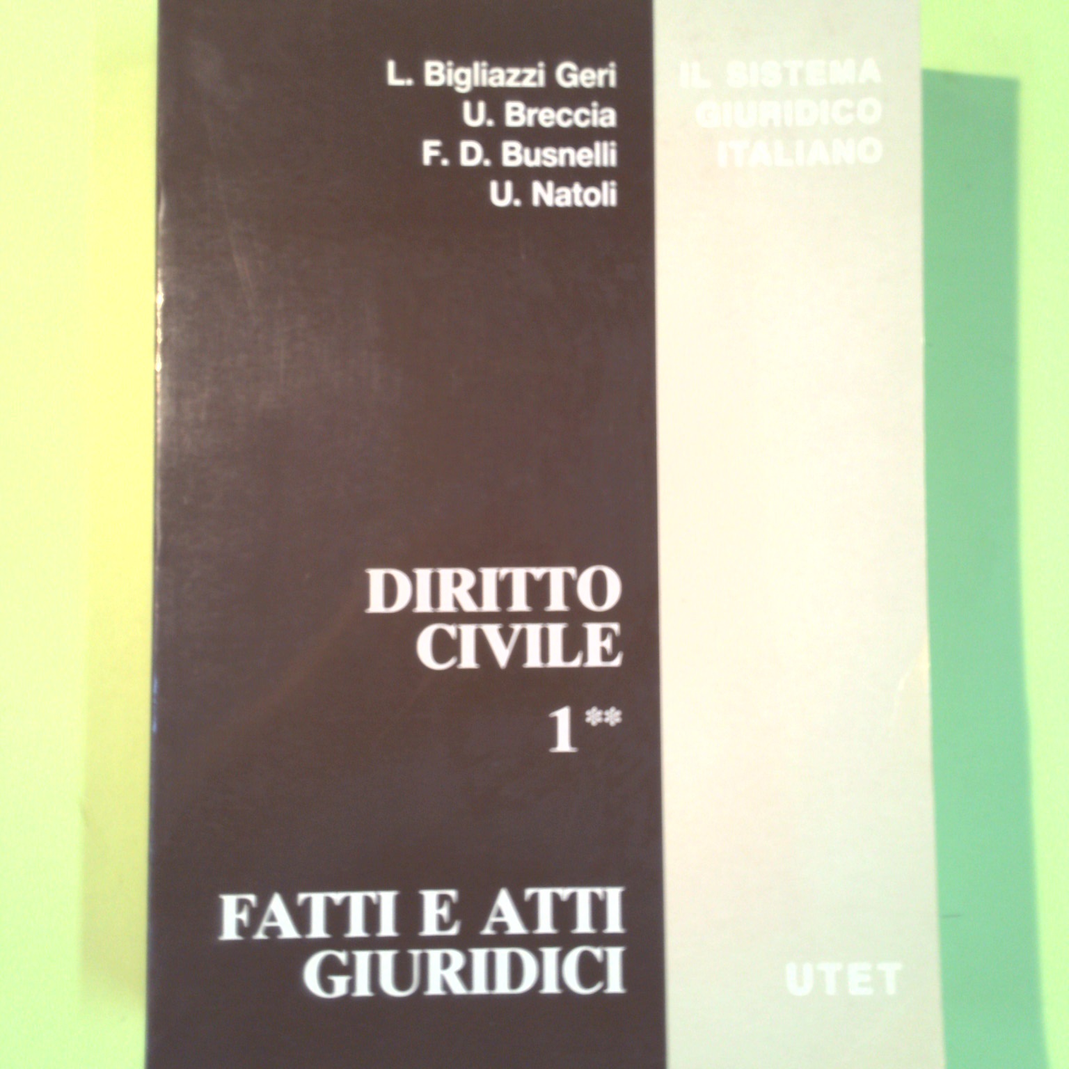 DIRITTO CIVILE VOL. I TOMO II