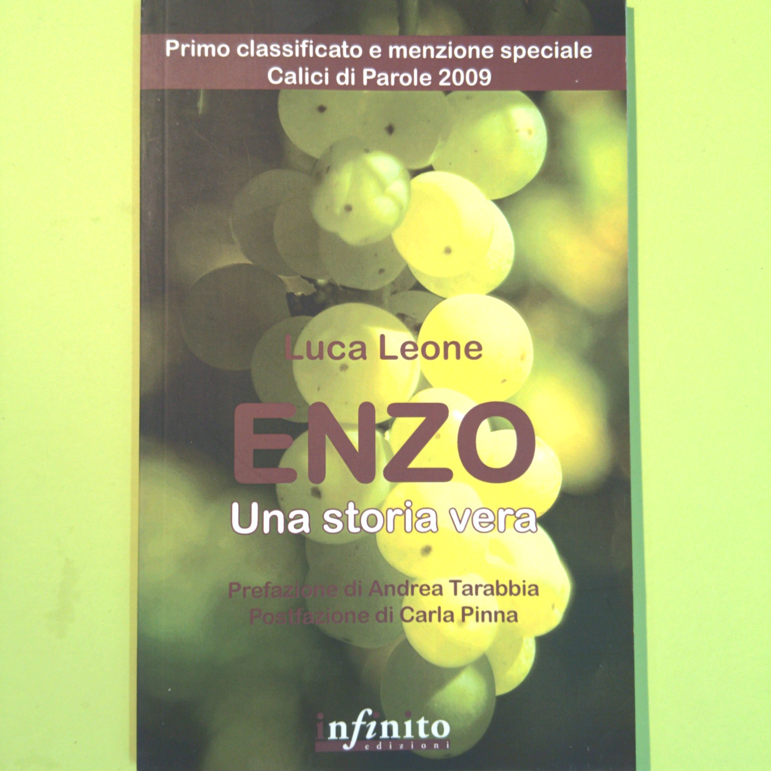 ENZO UNA STORIA VERA