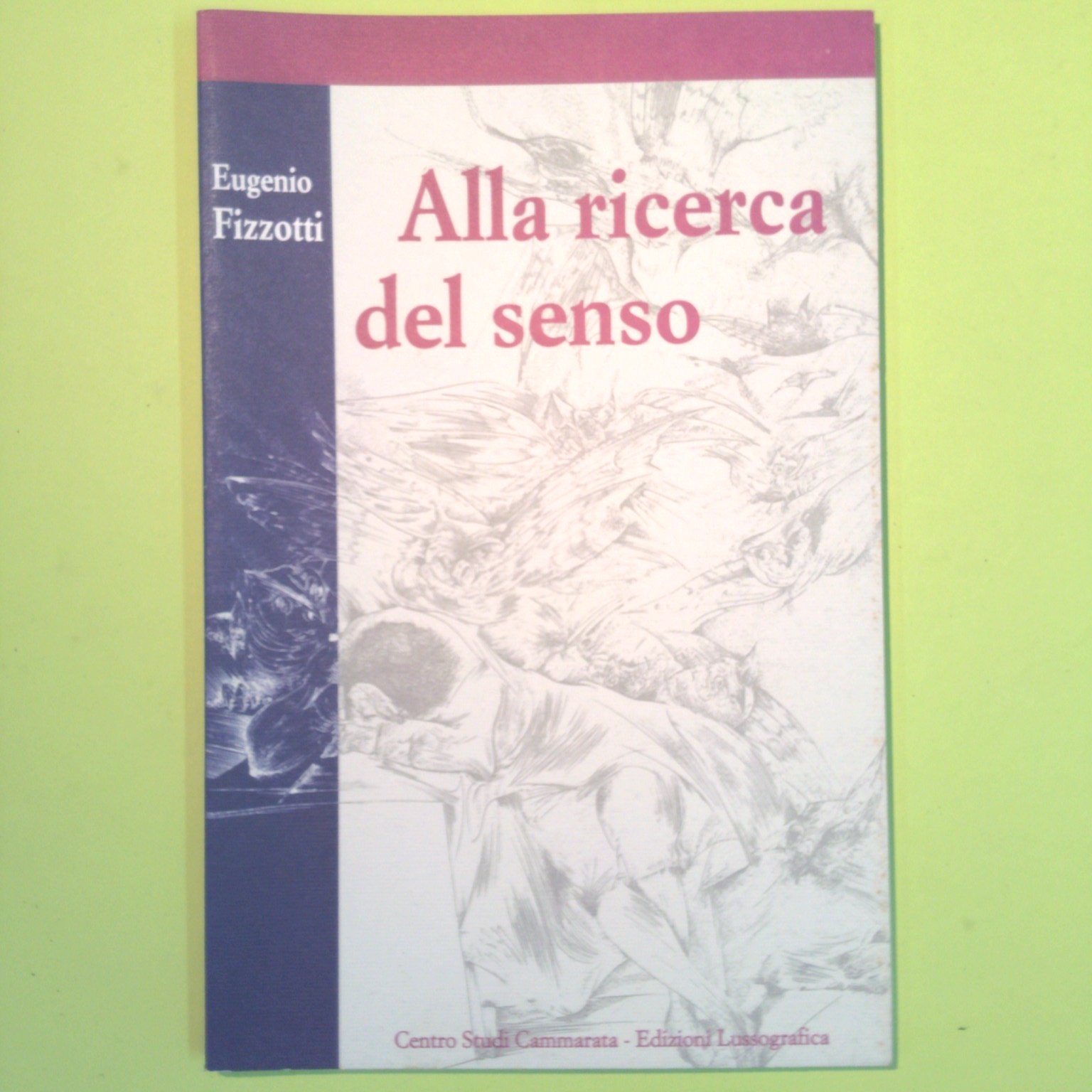ALLA RICERCA DEL SENSO