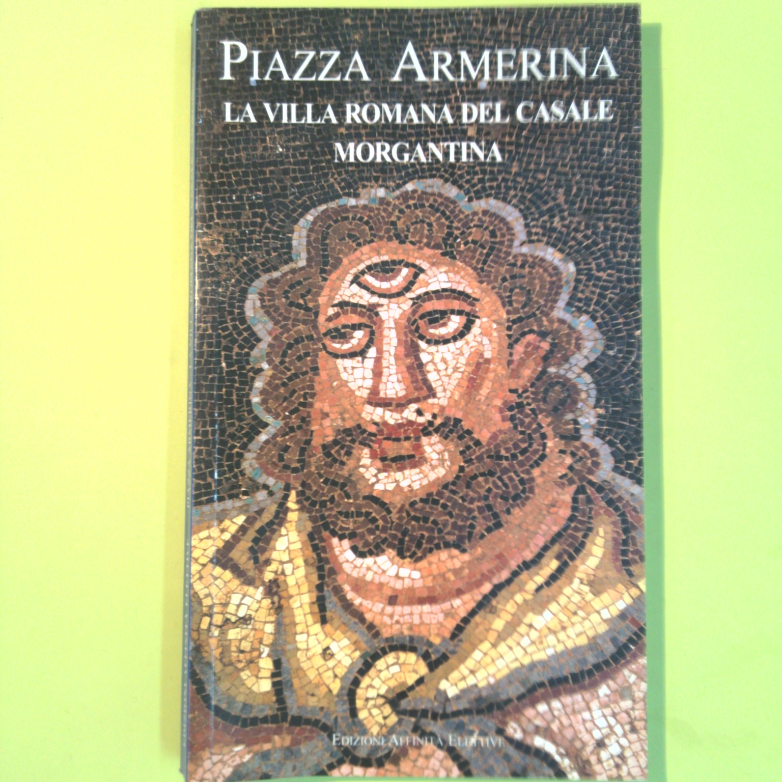 PIAZZA ARMERINA LA VILLA ROMANA DEL CASALE MORGANTINA