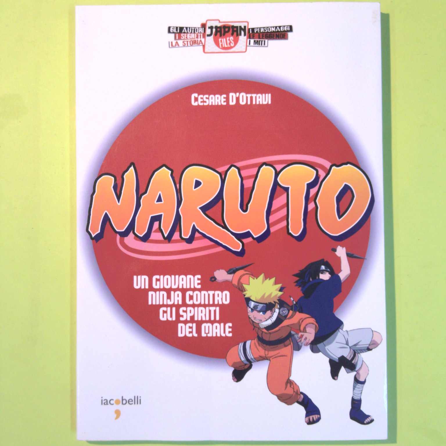 NARUTO UN GIOVANE NINJA CONTRO GLI SPIRITI DEL MALE
