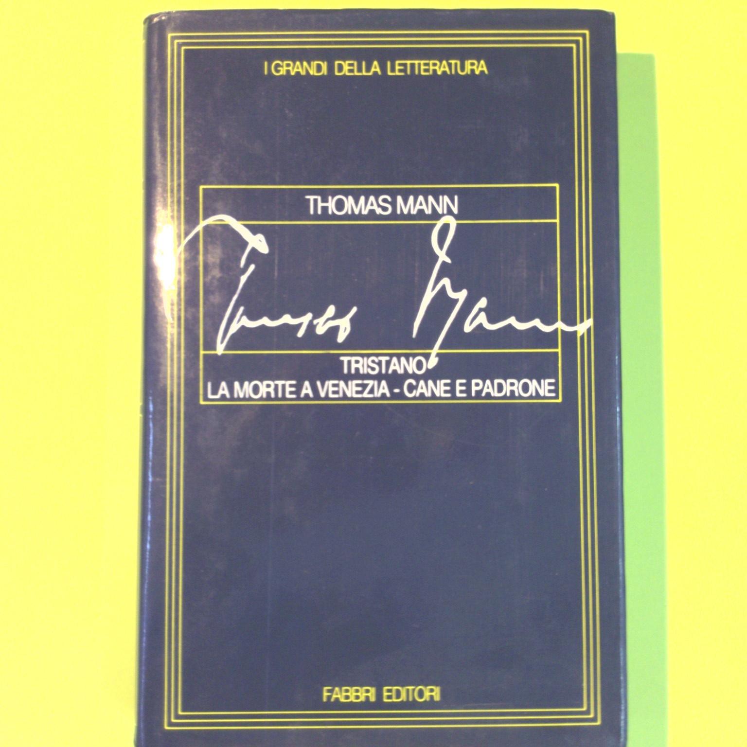 TRISTANO LA MORTE A VENEZIA CANE E PADRONE