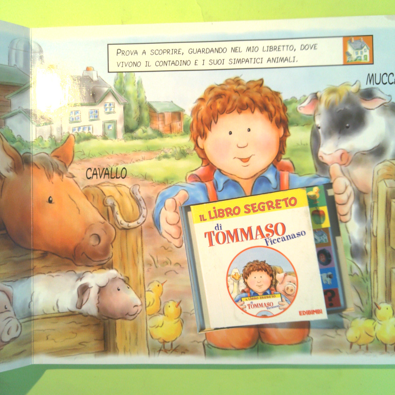 I LIBRI DI TOMMASO FICCANASO IN CAMPAGNA - immagine 2