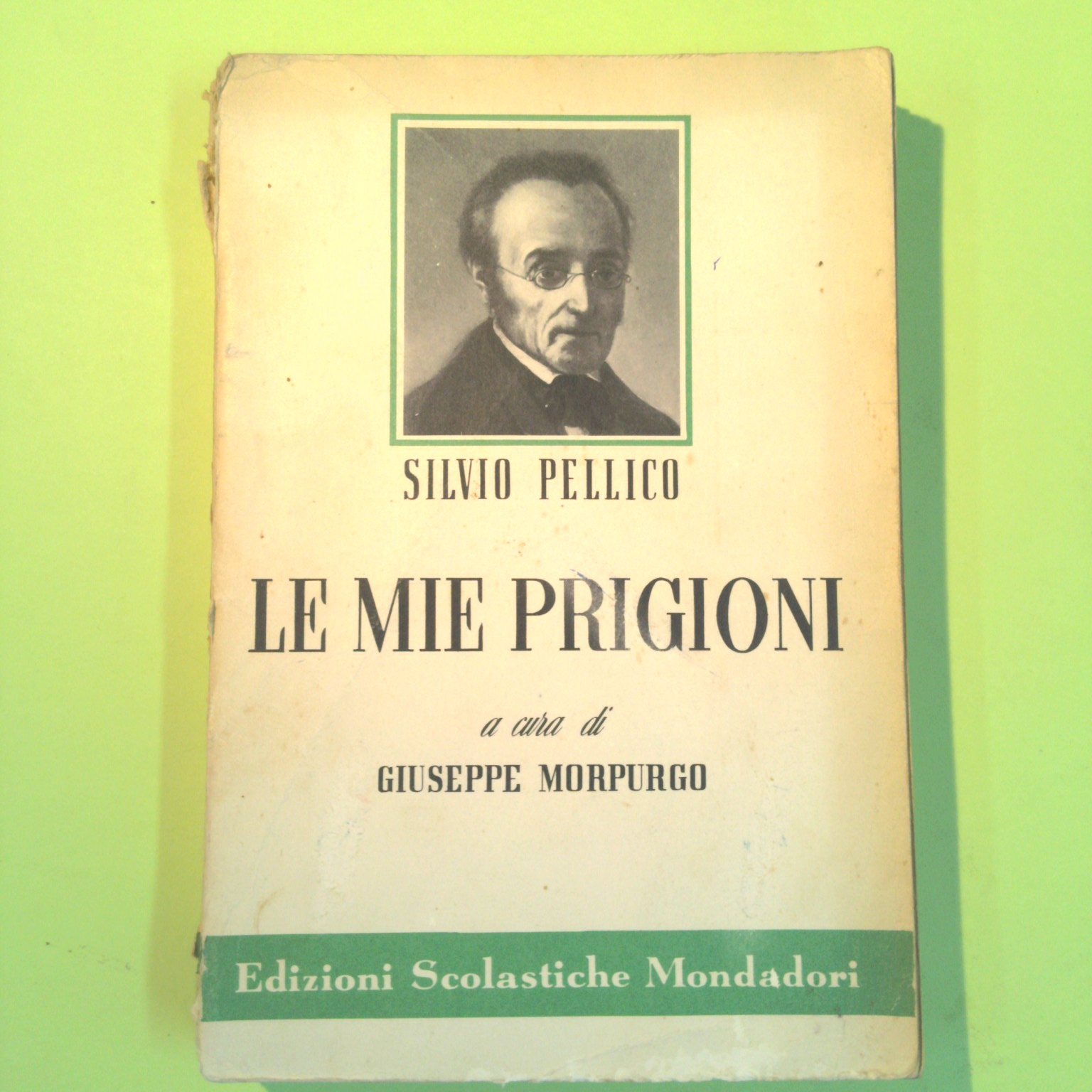 LE MIE PRIGIONI
