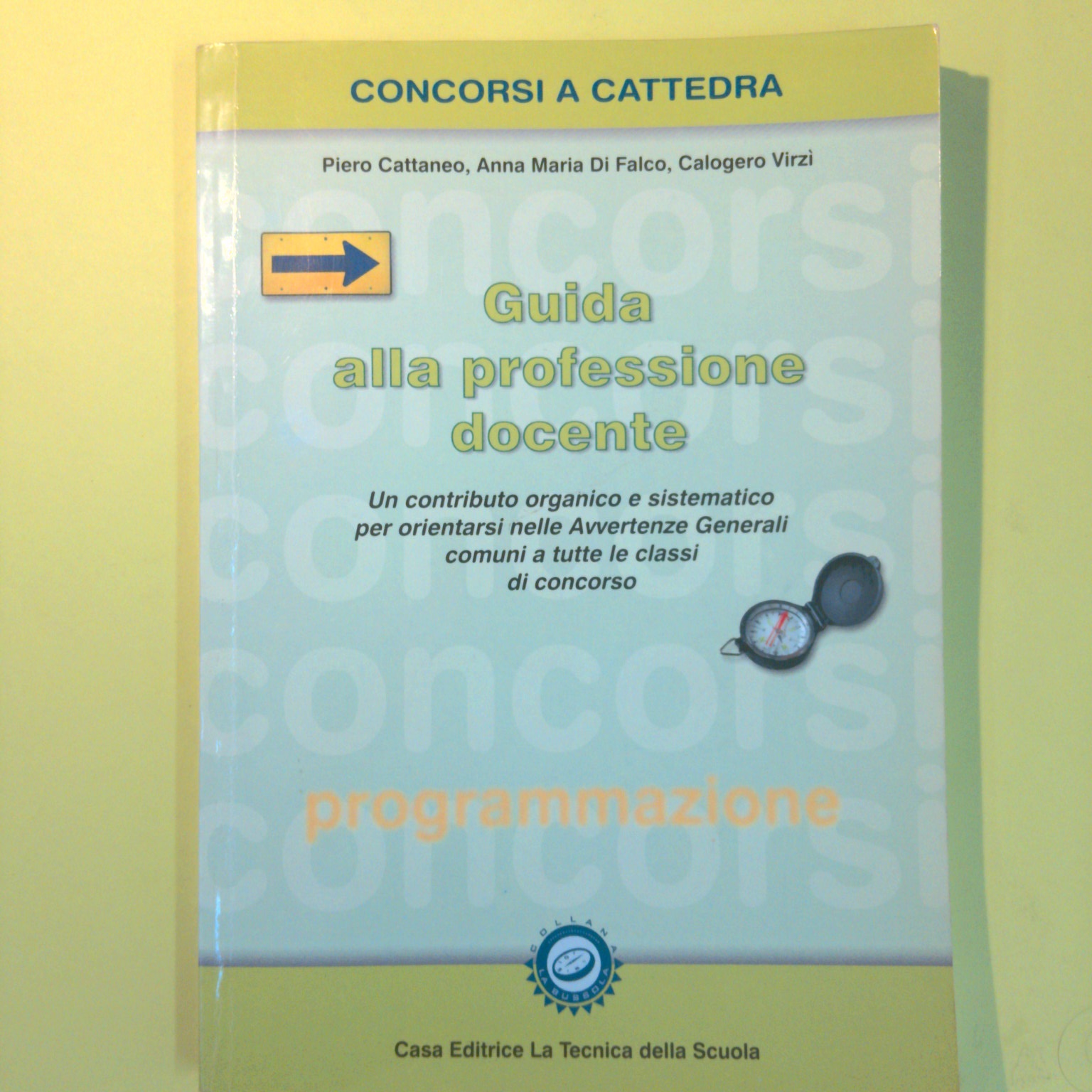 GUIDA ALLA PROFESSIONE DOCENTE