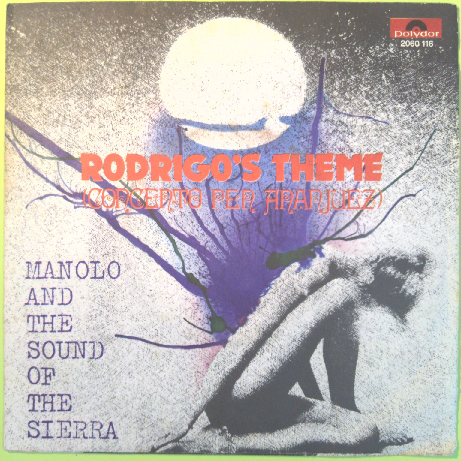 RODRIGO'S THEME/ VANIÑA MANOLO AND THE SOUND OF THE SIERRA 45 GIRI 2060 116 1976