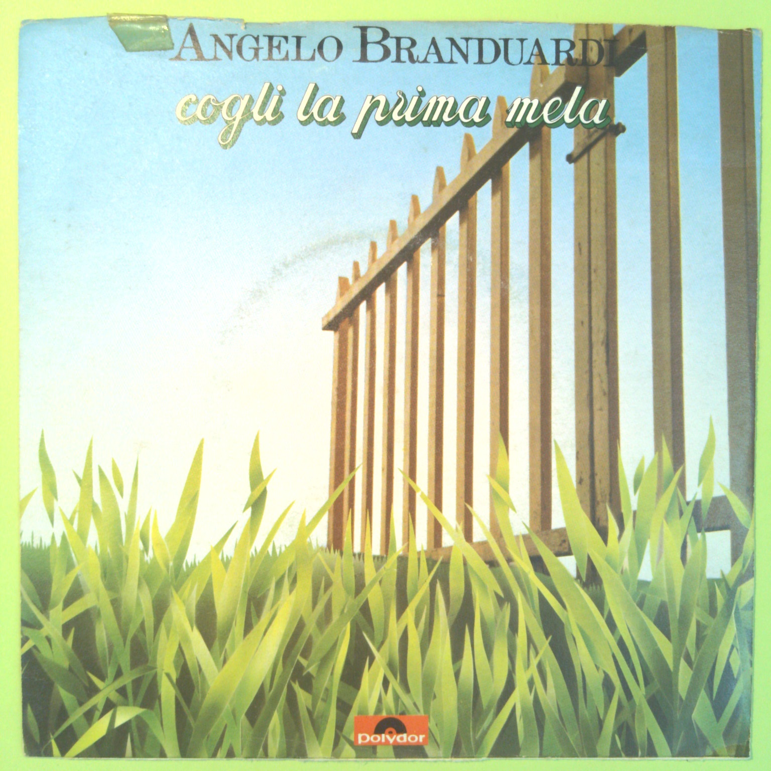 COGLI LA PRIMA MELA/SE TU SEI CIELO BRANDUARDI 45 GIRI 2060 207 1979