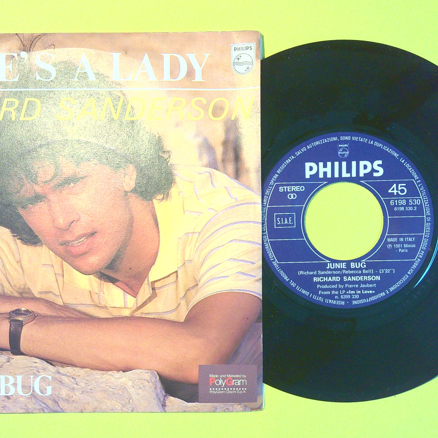 SHE'S A LADY/JUNIE BUG RICHARD SANDERSON 45 GIRI 698 530 1981 - immagine 2