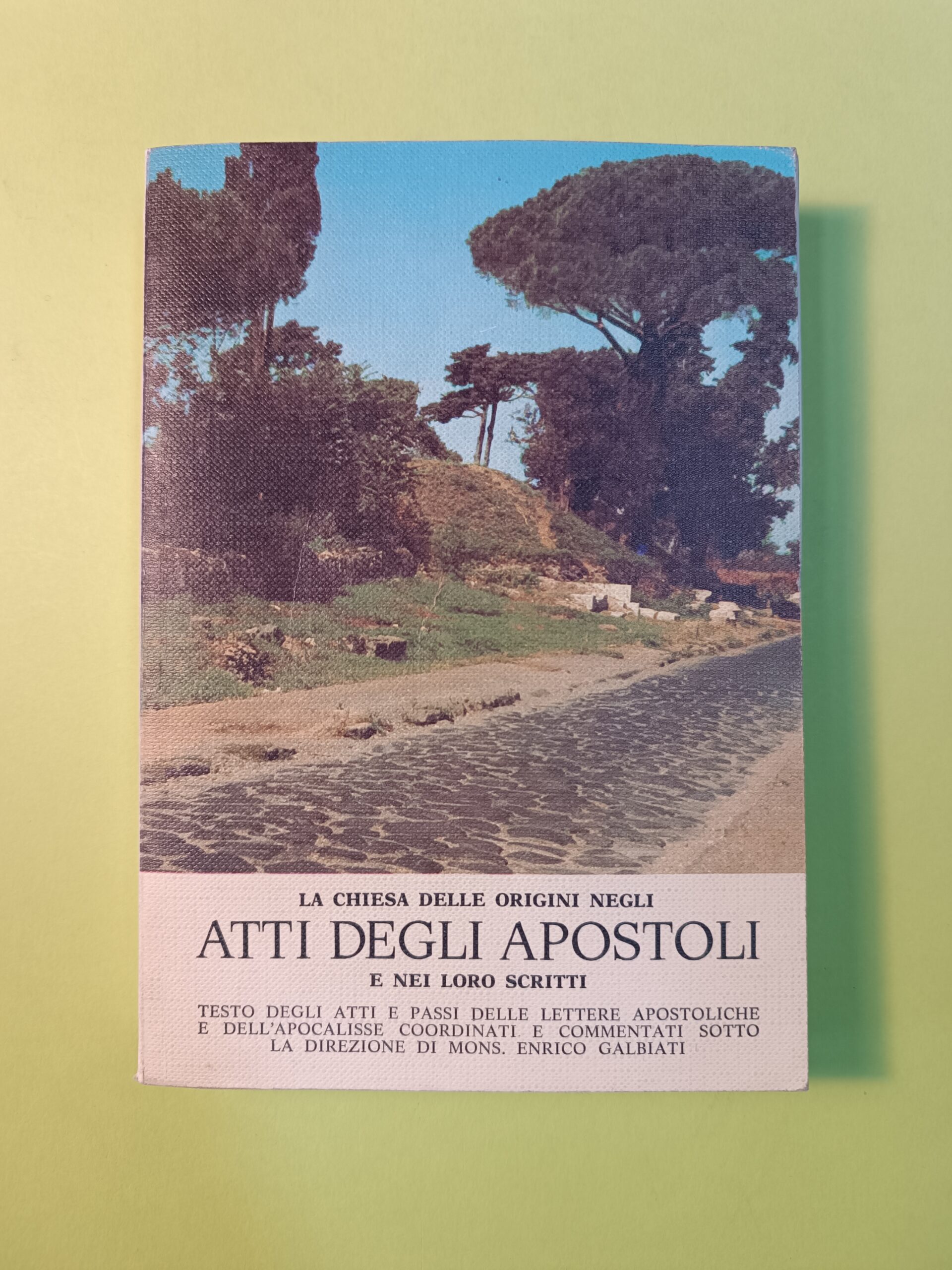 LA CHIESA DELLE ORIGINI DEGLI ATTI DEGLI APOSTOLI E NEI LORO SCRITTI