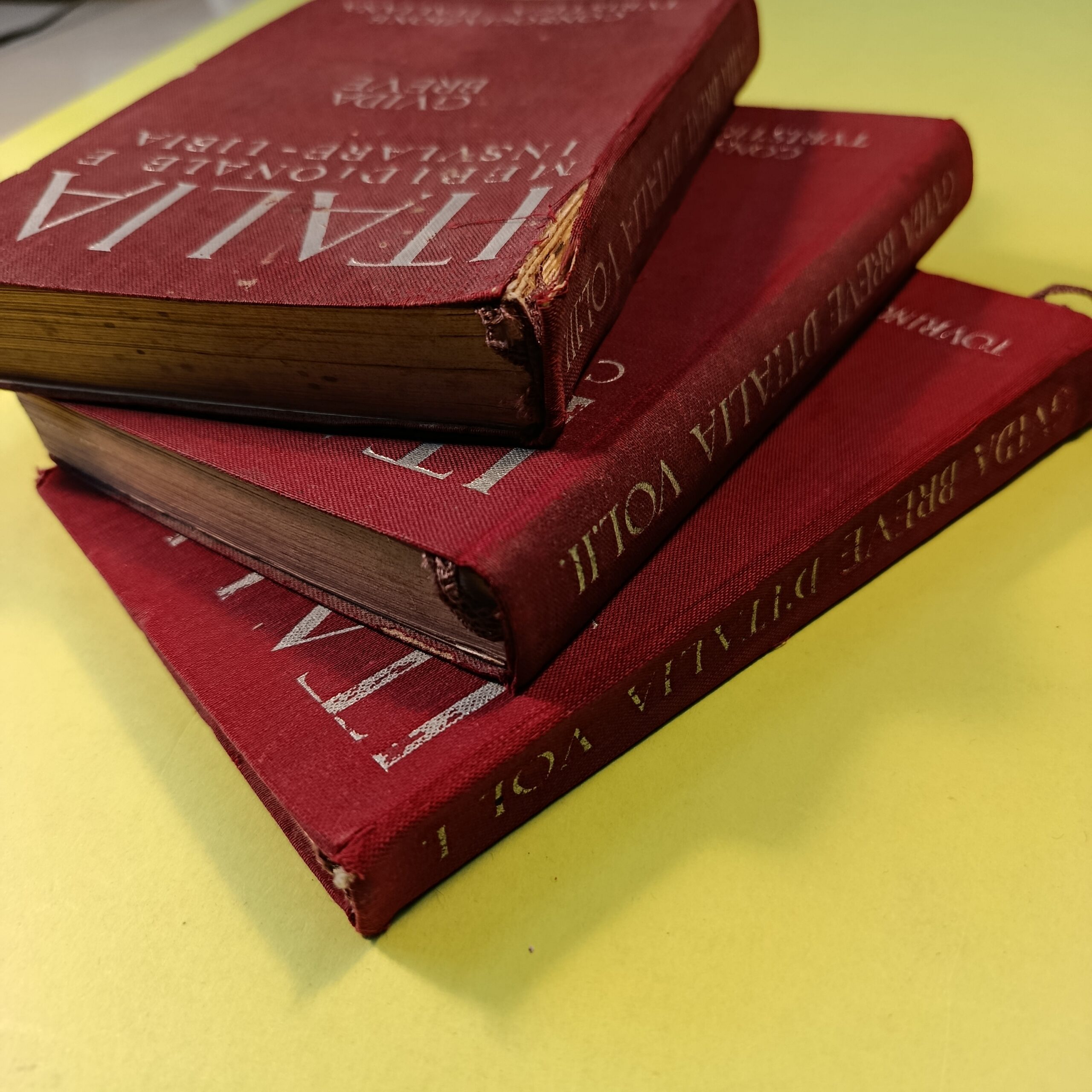 ITALIA GUIDA BREVE - immagine 2