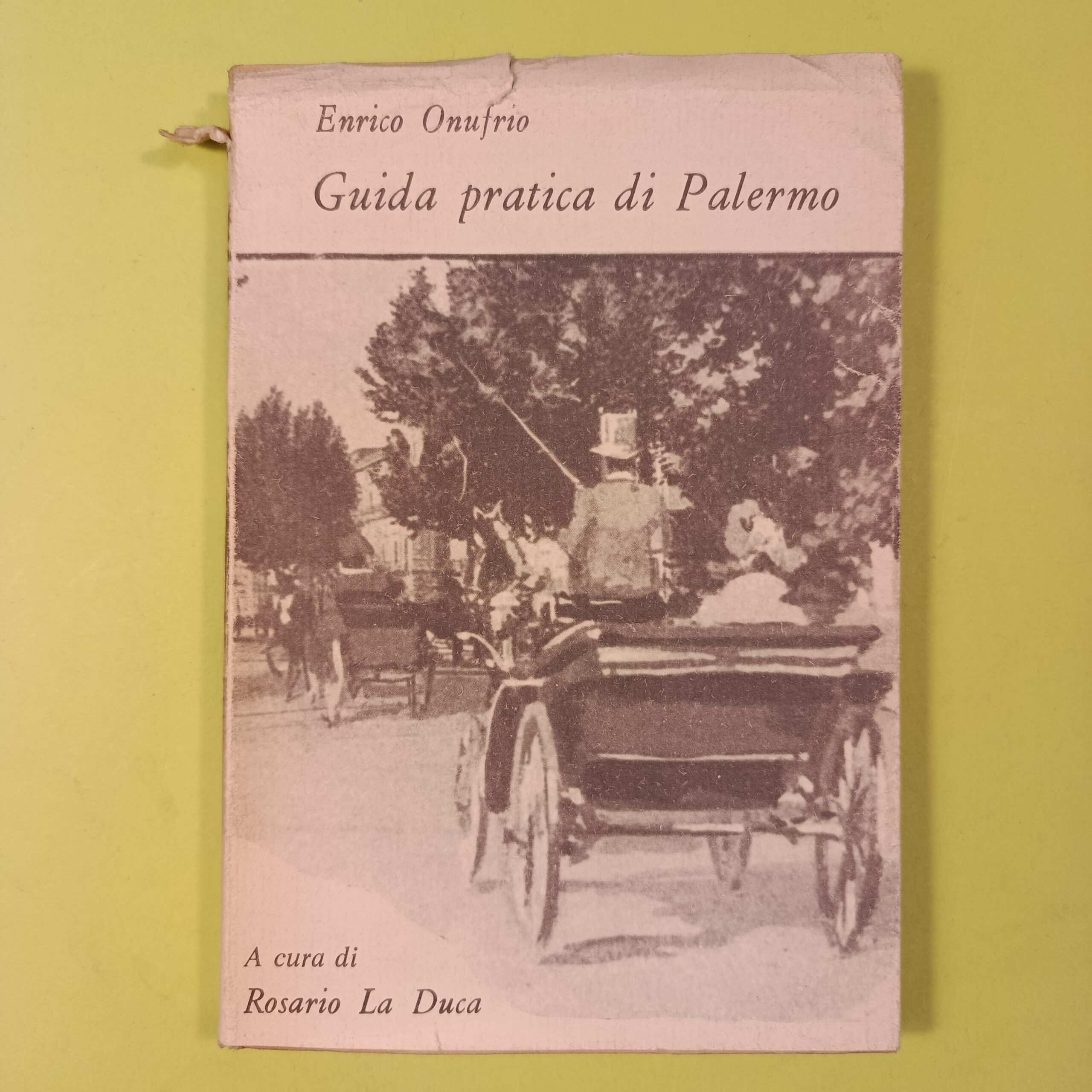 GUIDA PRATICA DI PALERMO