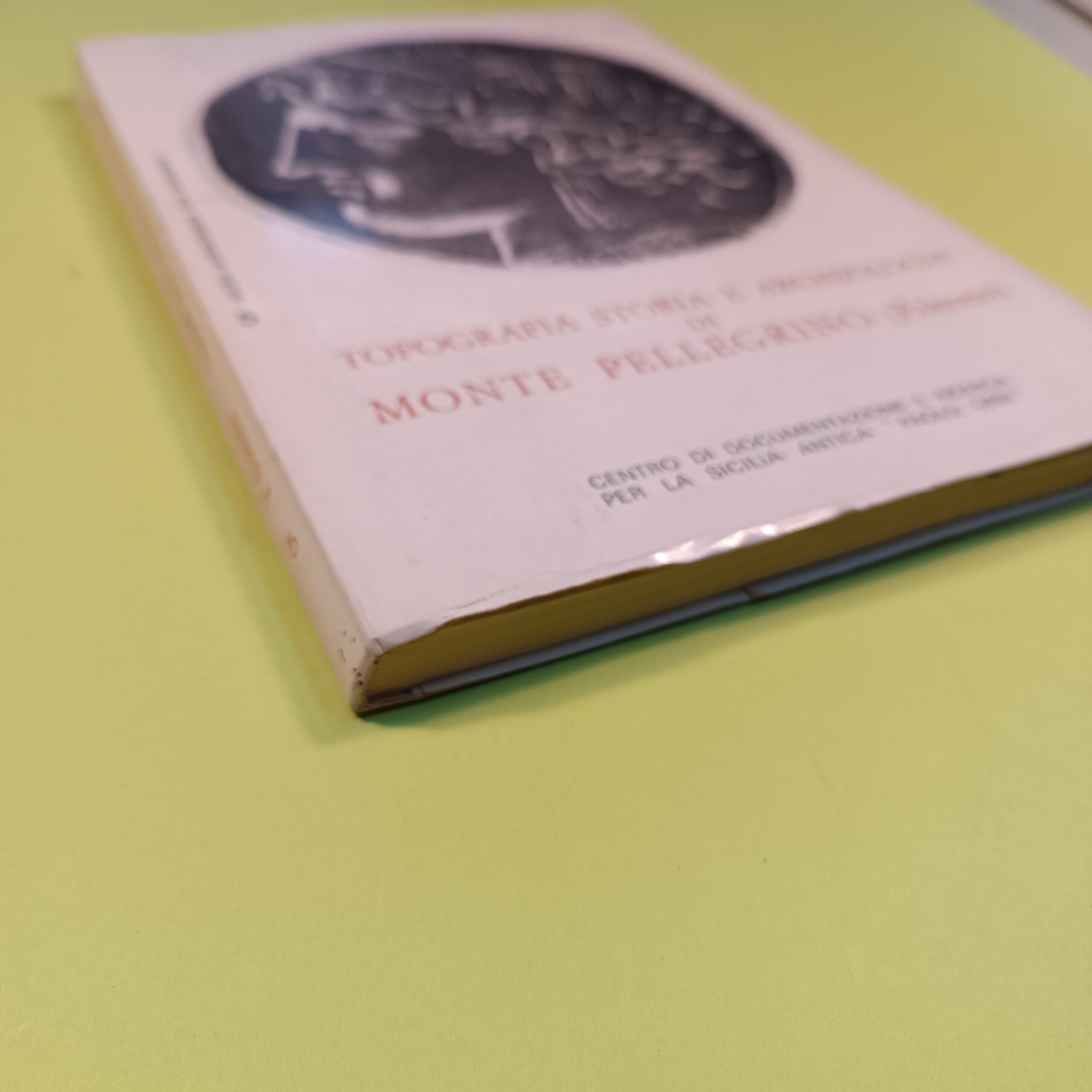 TOPOGRAFIA STORIA E ARCHEOLOGIA DI MONTE PELLEGRINO - immagine 2