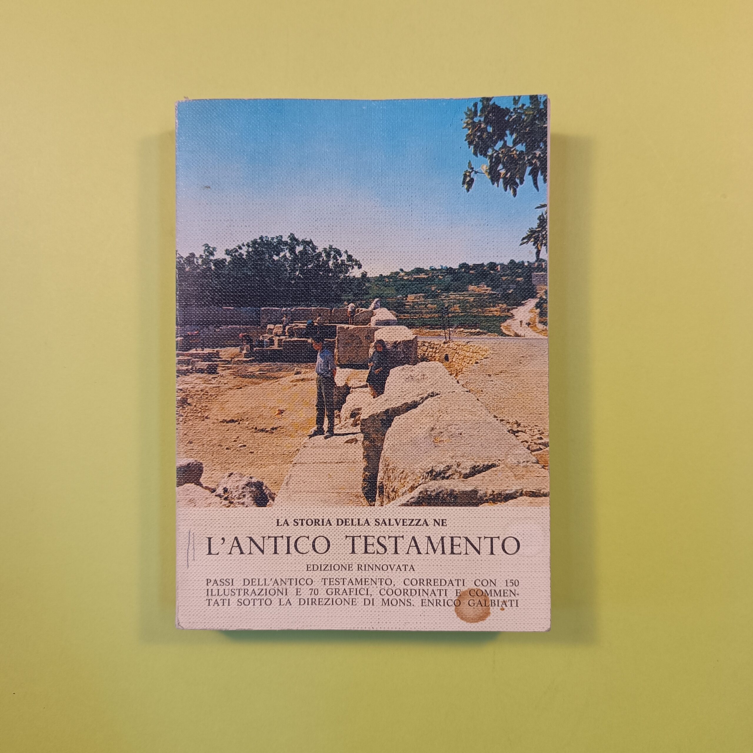 LA STORIA DELLA SALVEZZA NE L'ANTICO TESTAMENTO