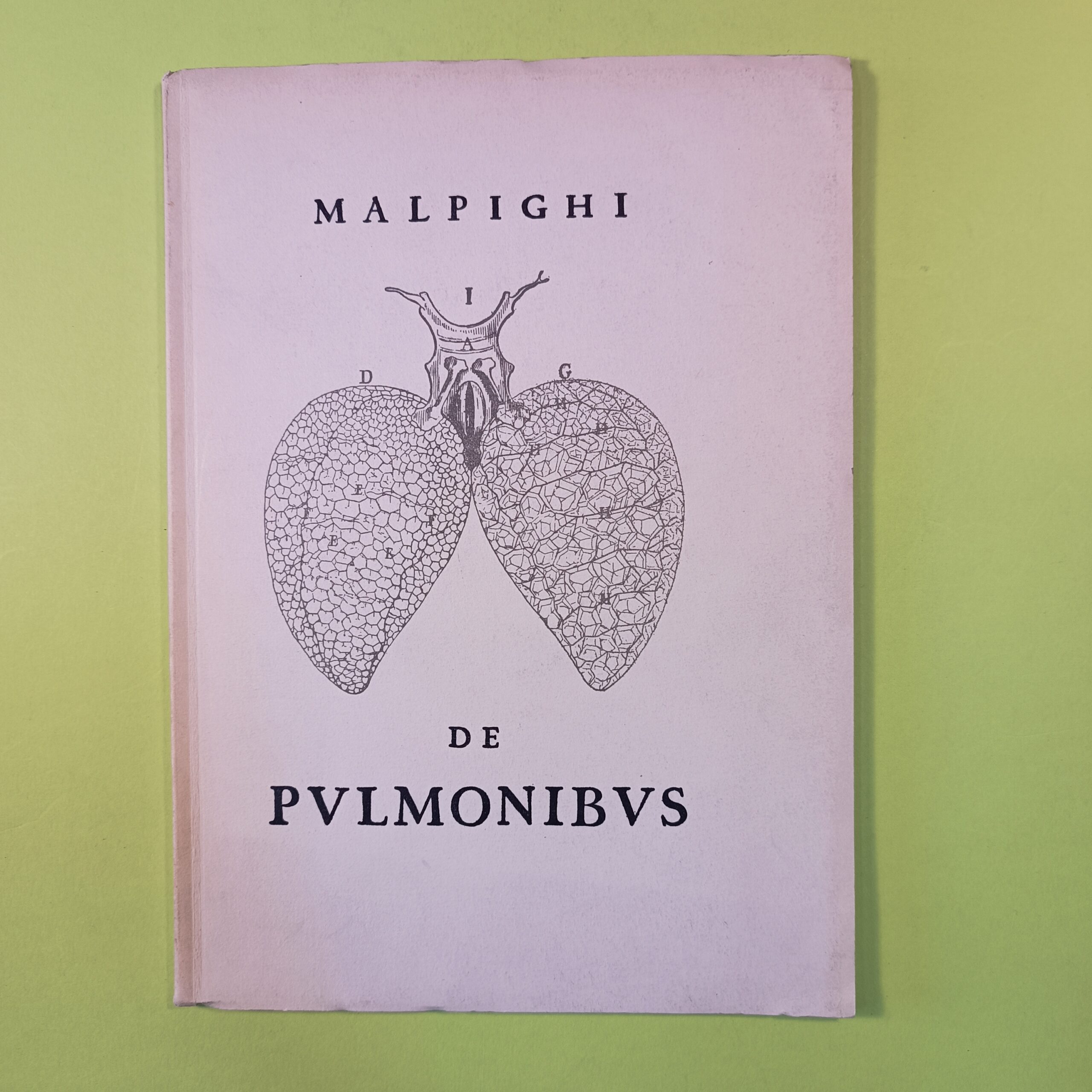 DE PULMONIBUS