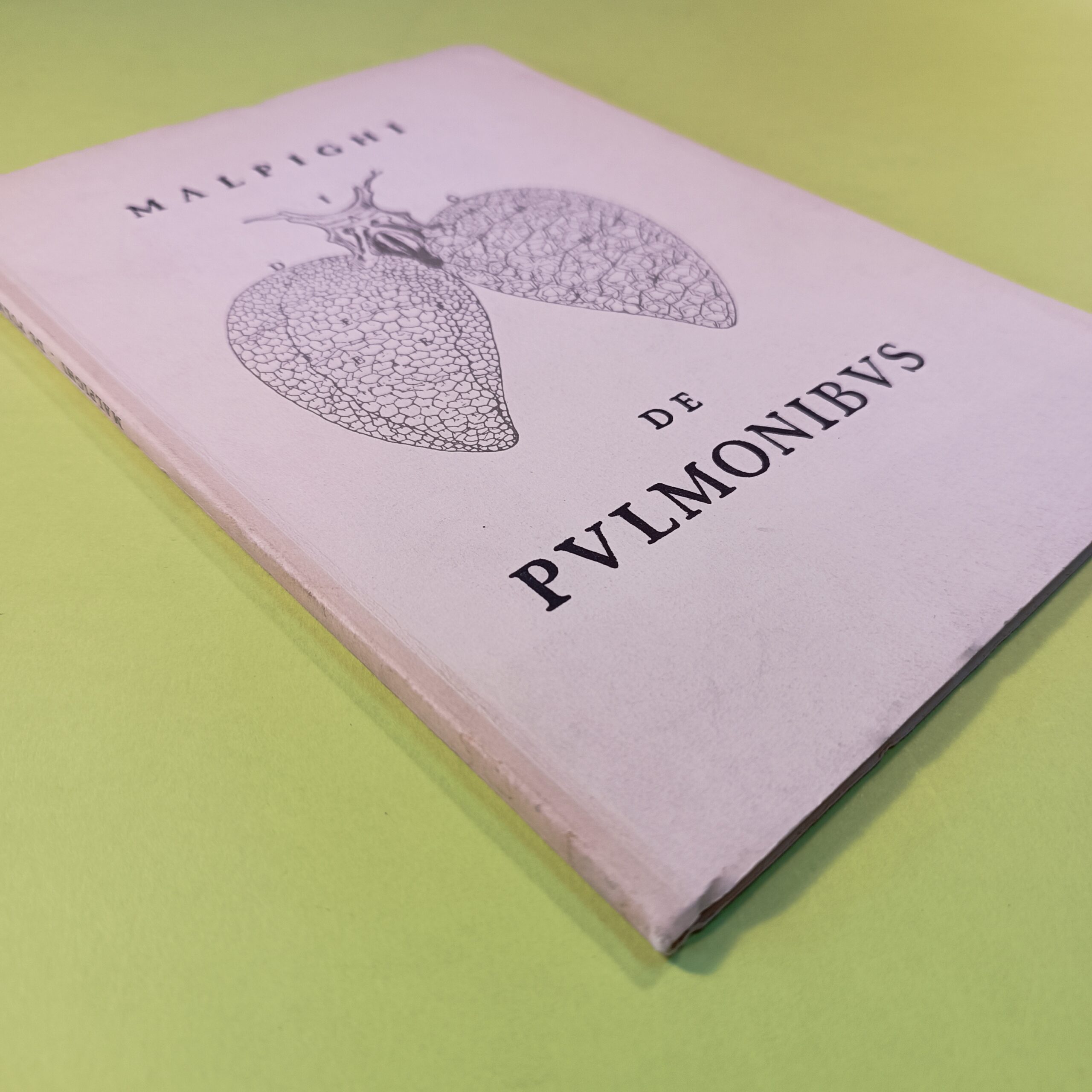 DE PULMONIBUS - immagine 2