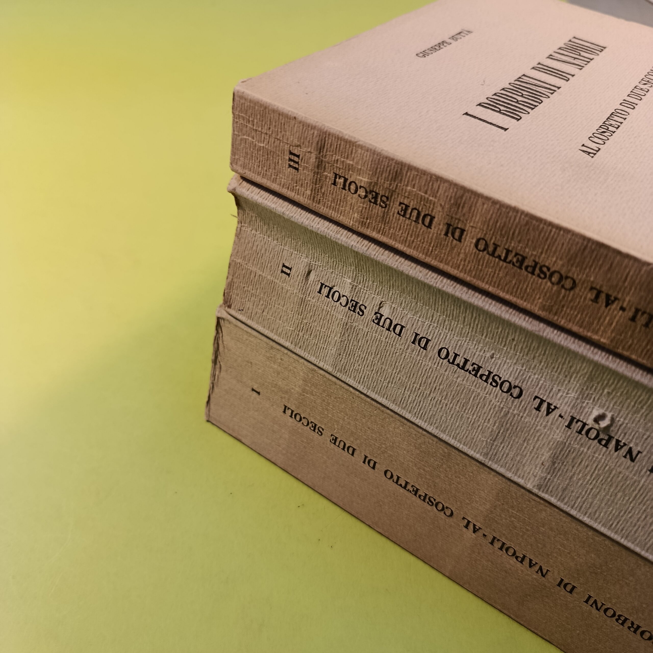 I BORBONI DI NAPOLI - immagine 2