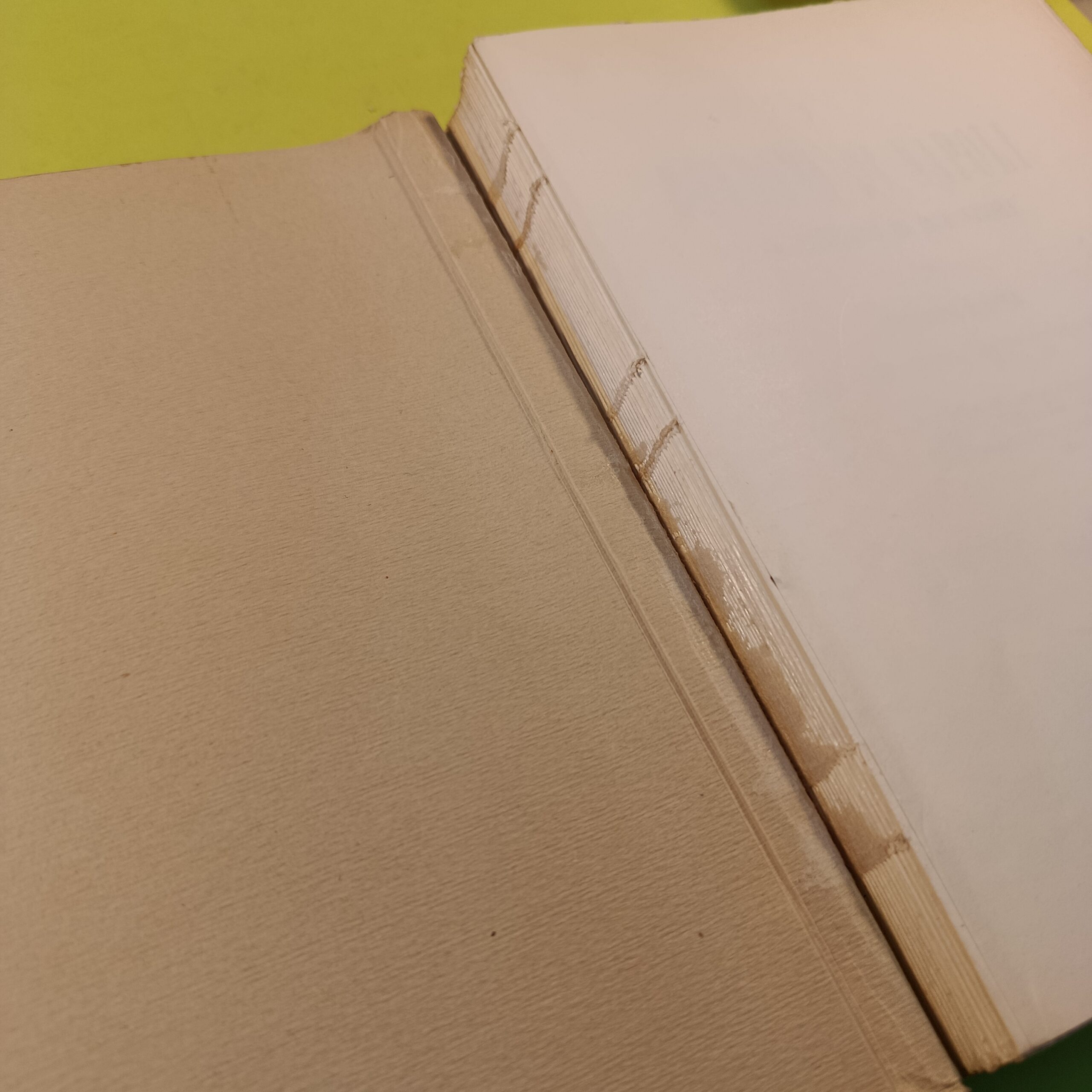 I BORBONI DI NAPOLI - immagine 3