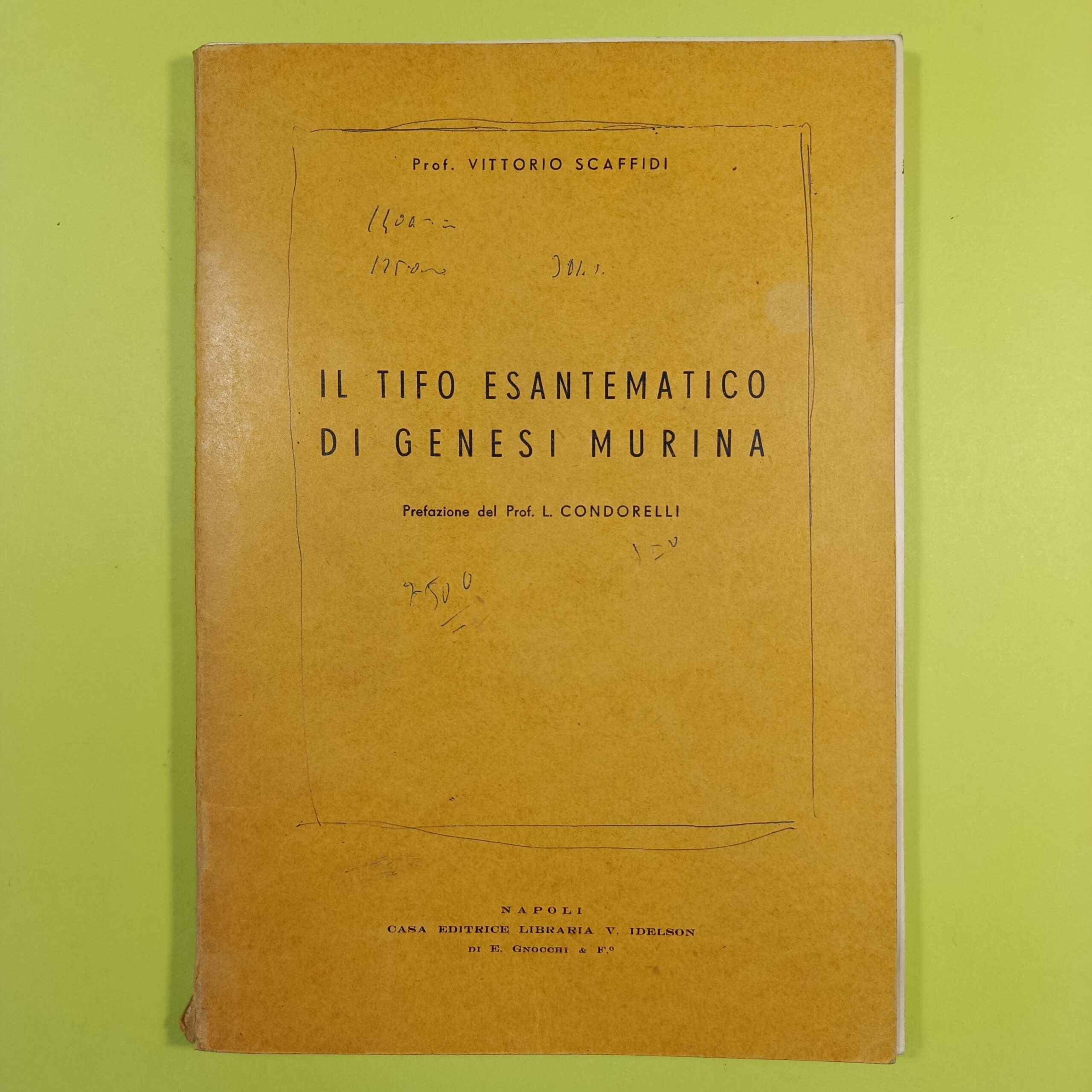 IL TIFO ESANTEMATICO DI GENESI MURINA