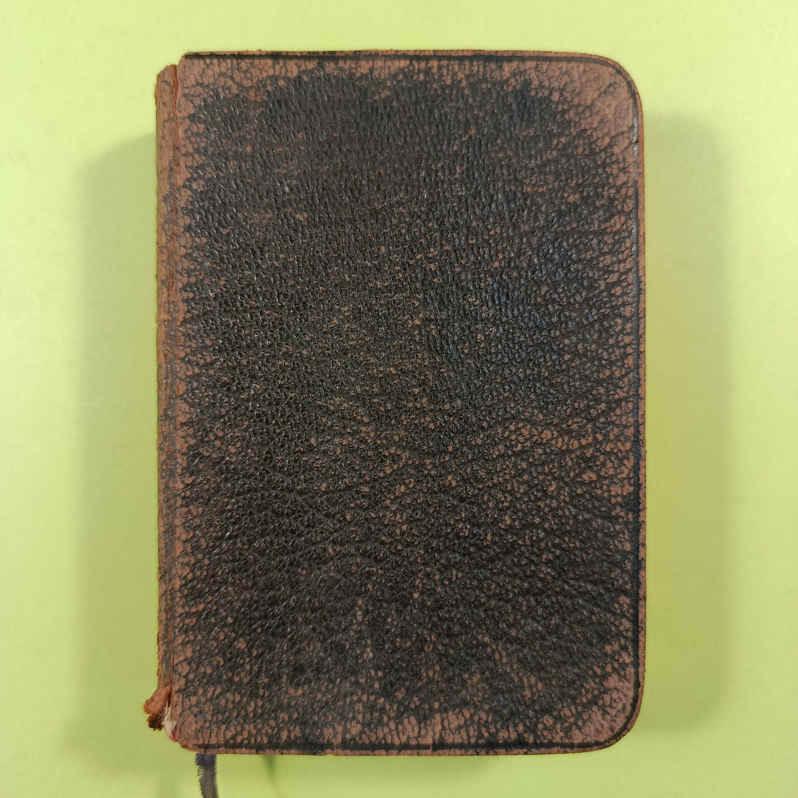 THE BOOK OF COMMON PRAYER