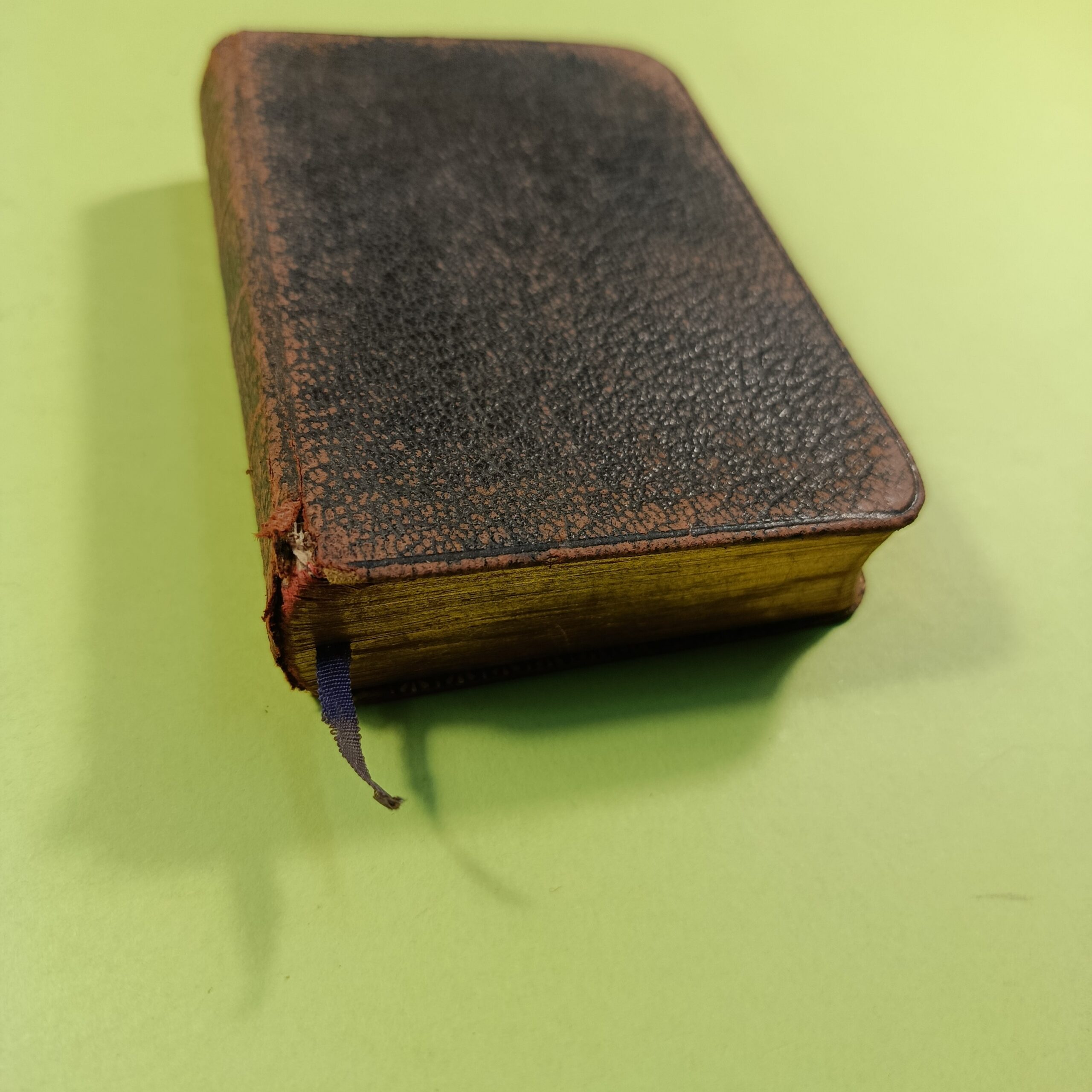 THE BOOK OF COMMON PRAYER - immagine 2