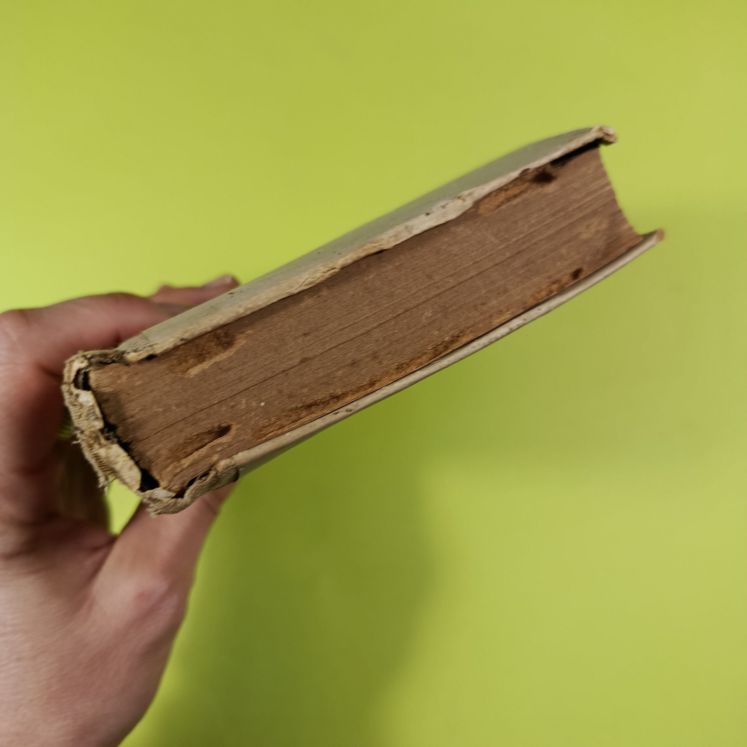 COME SI DICE - immagine 2