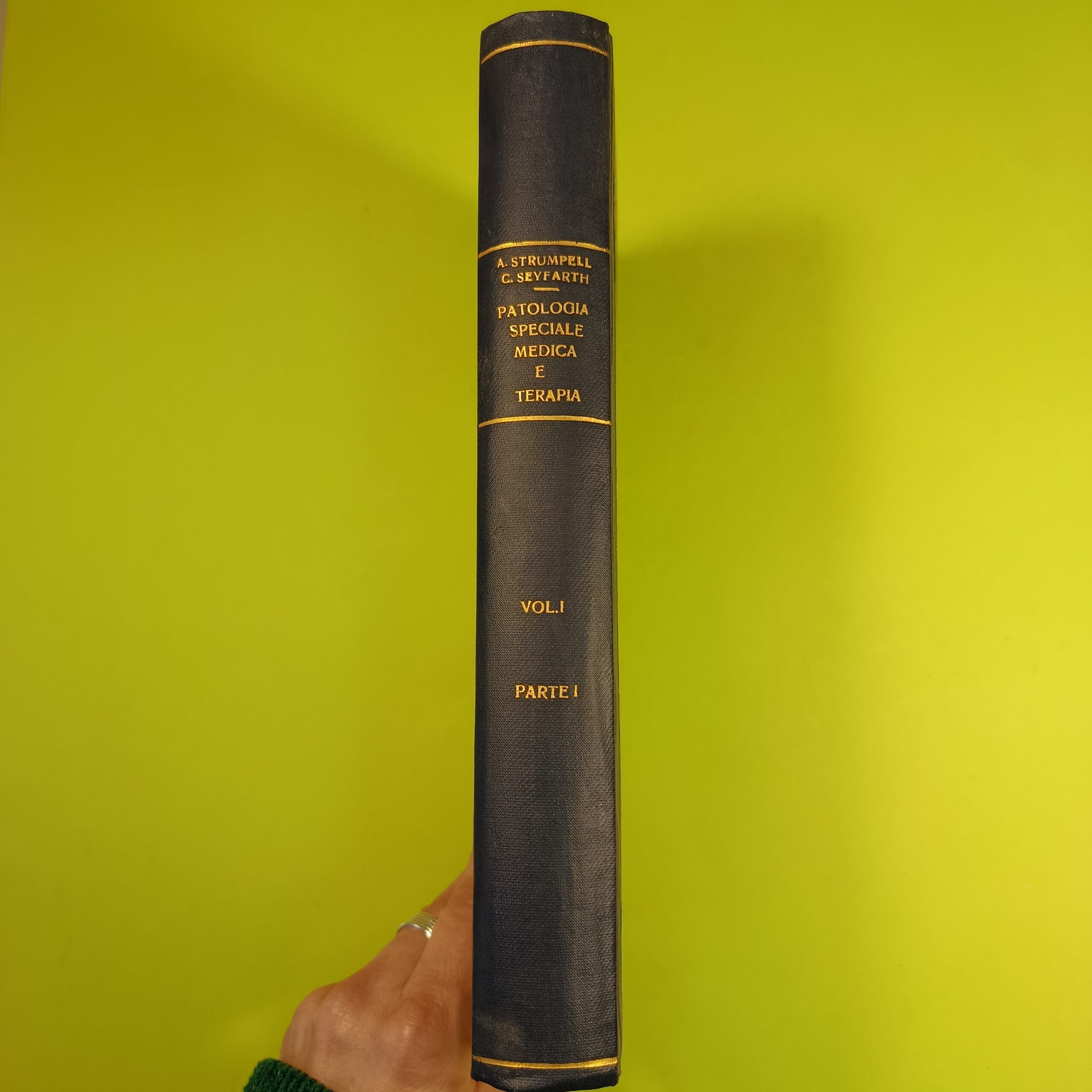 TRATTATO DI PATOLOGIA SPECIALE MEDICA E TERAPIA VOL I PARTE I - immagine 2