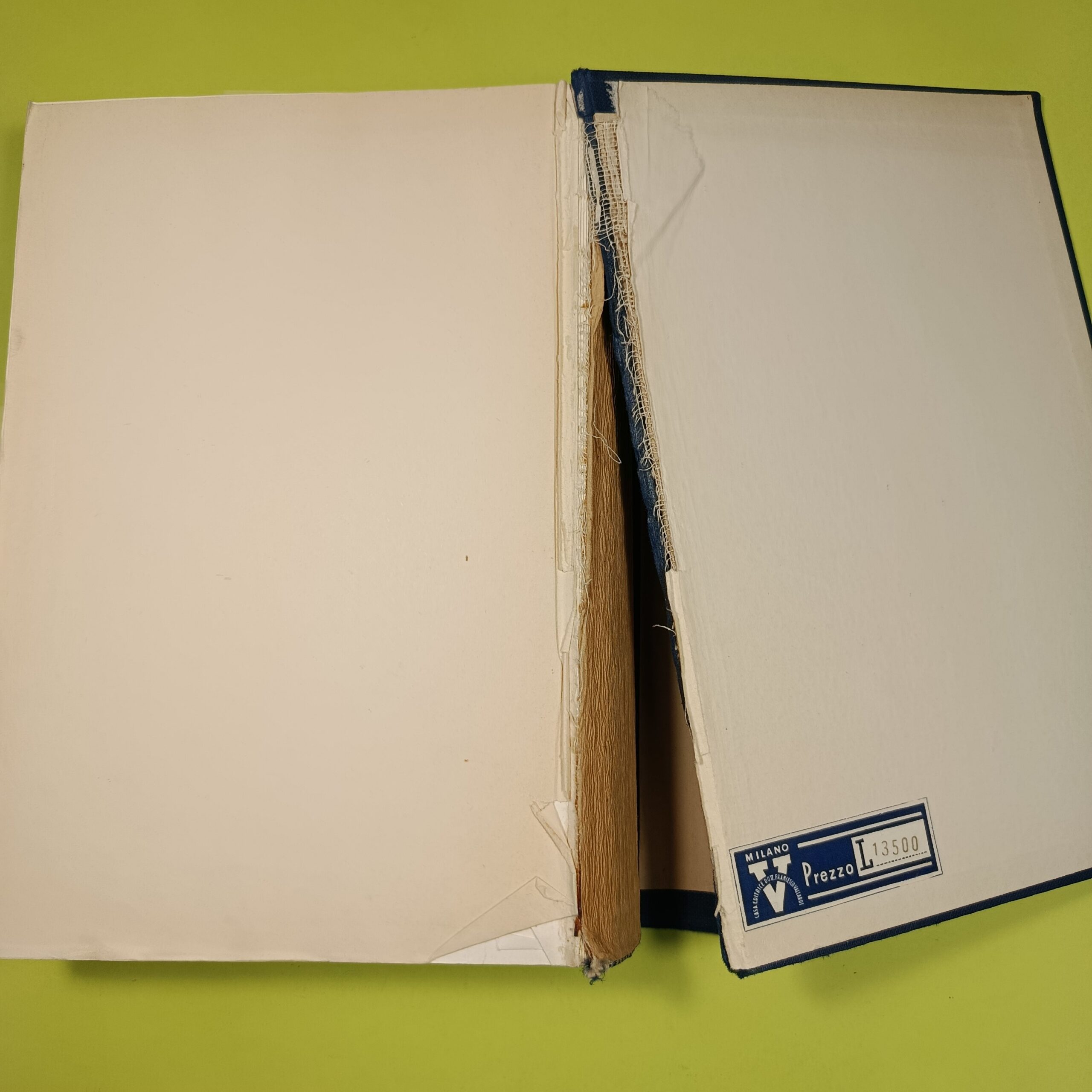 LE MALATRTIE DEL SANGUE 2 VOL - immagine 5