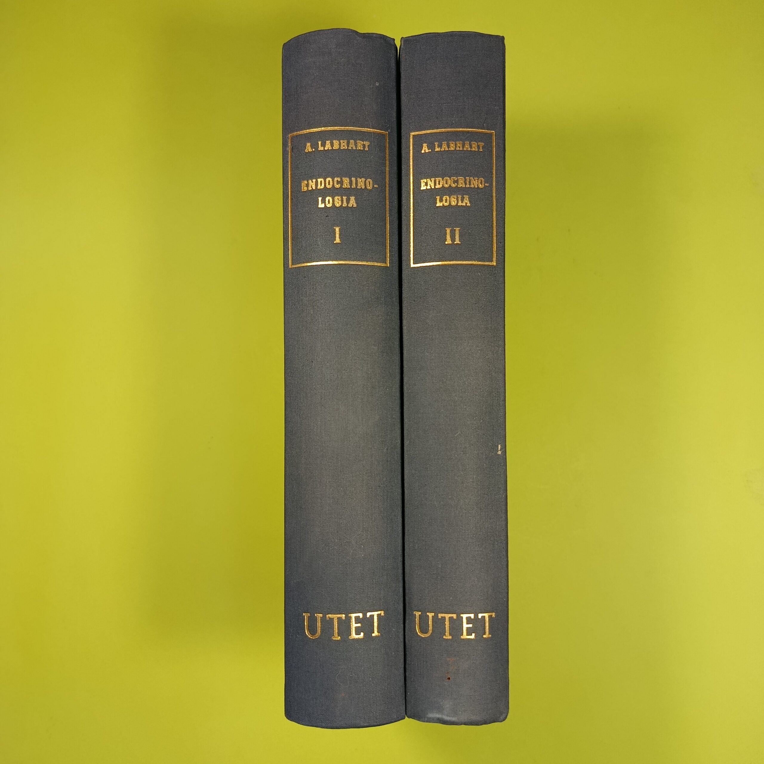 TRATTATO DI ENDOCRINOLOGIA 2 VOL - immagine 2